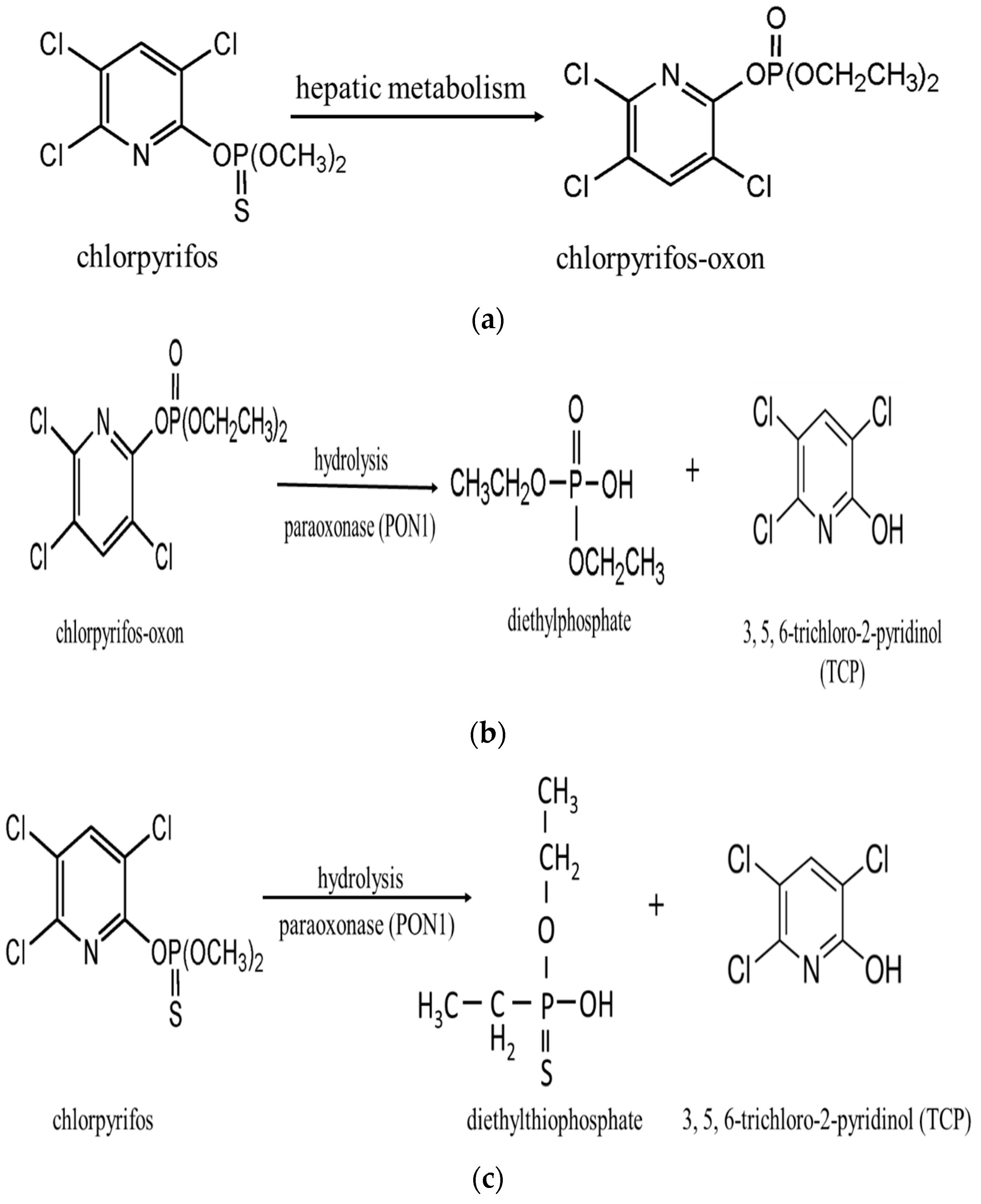 Agriculture 13 01683 g001