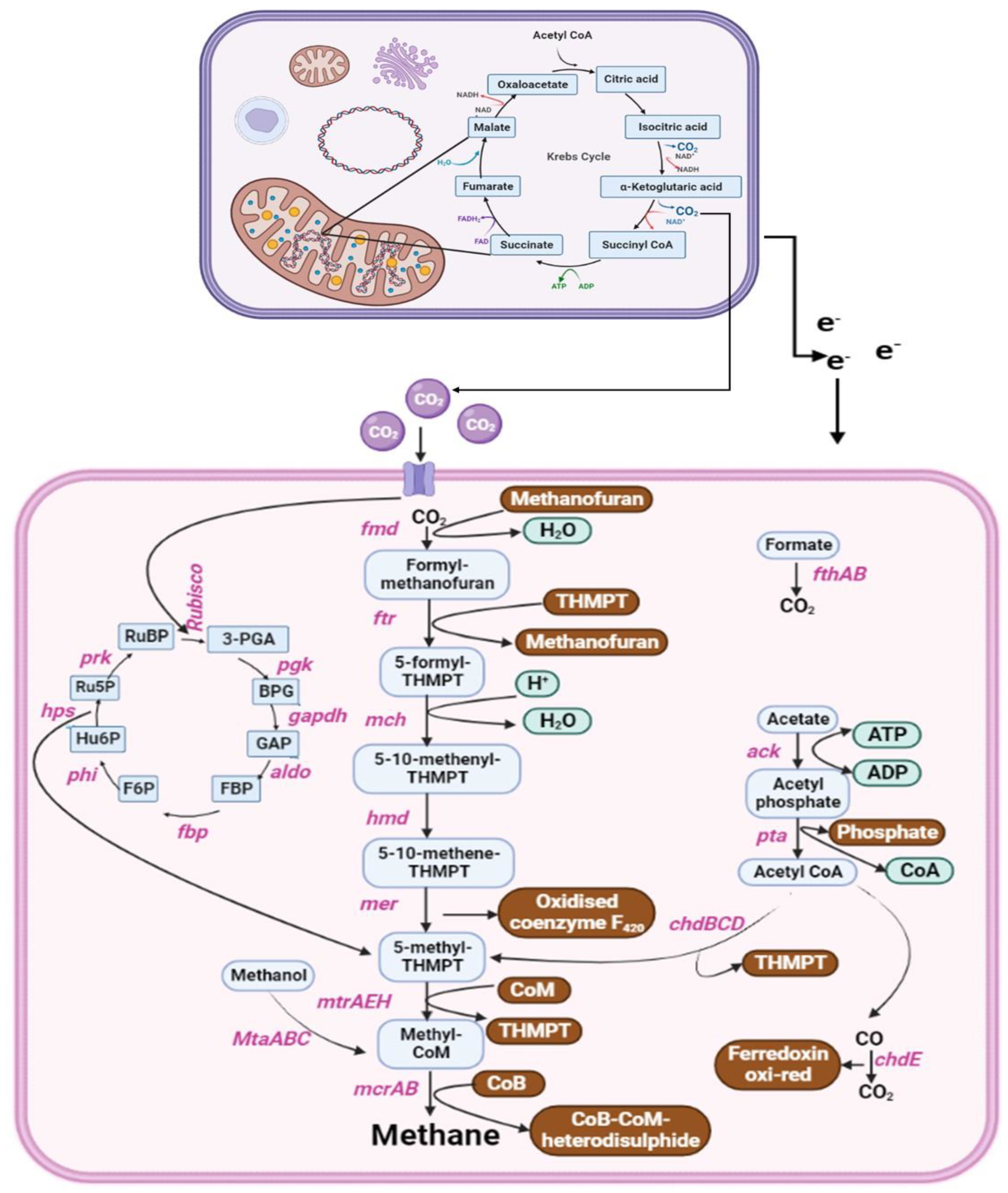 Agriculture 13 01689 g003