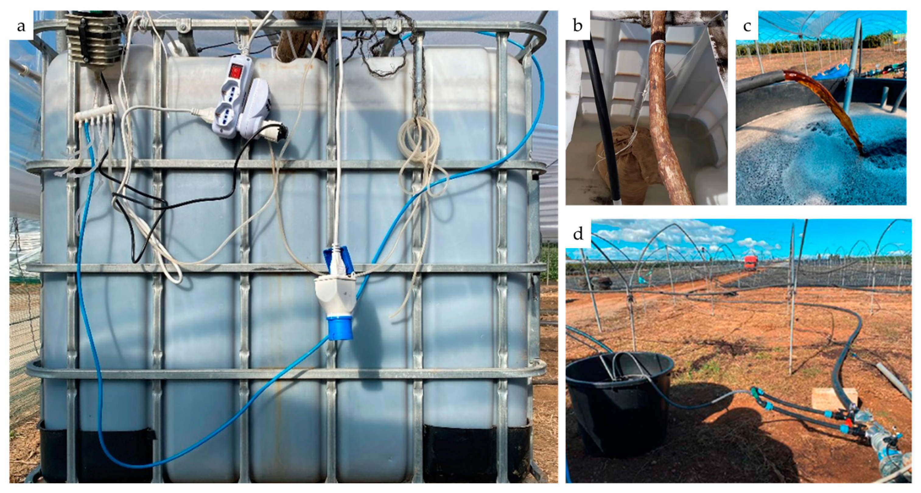 Agriculture 13 01705 g001