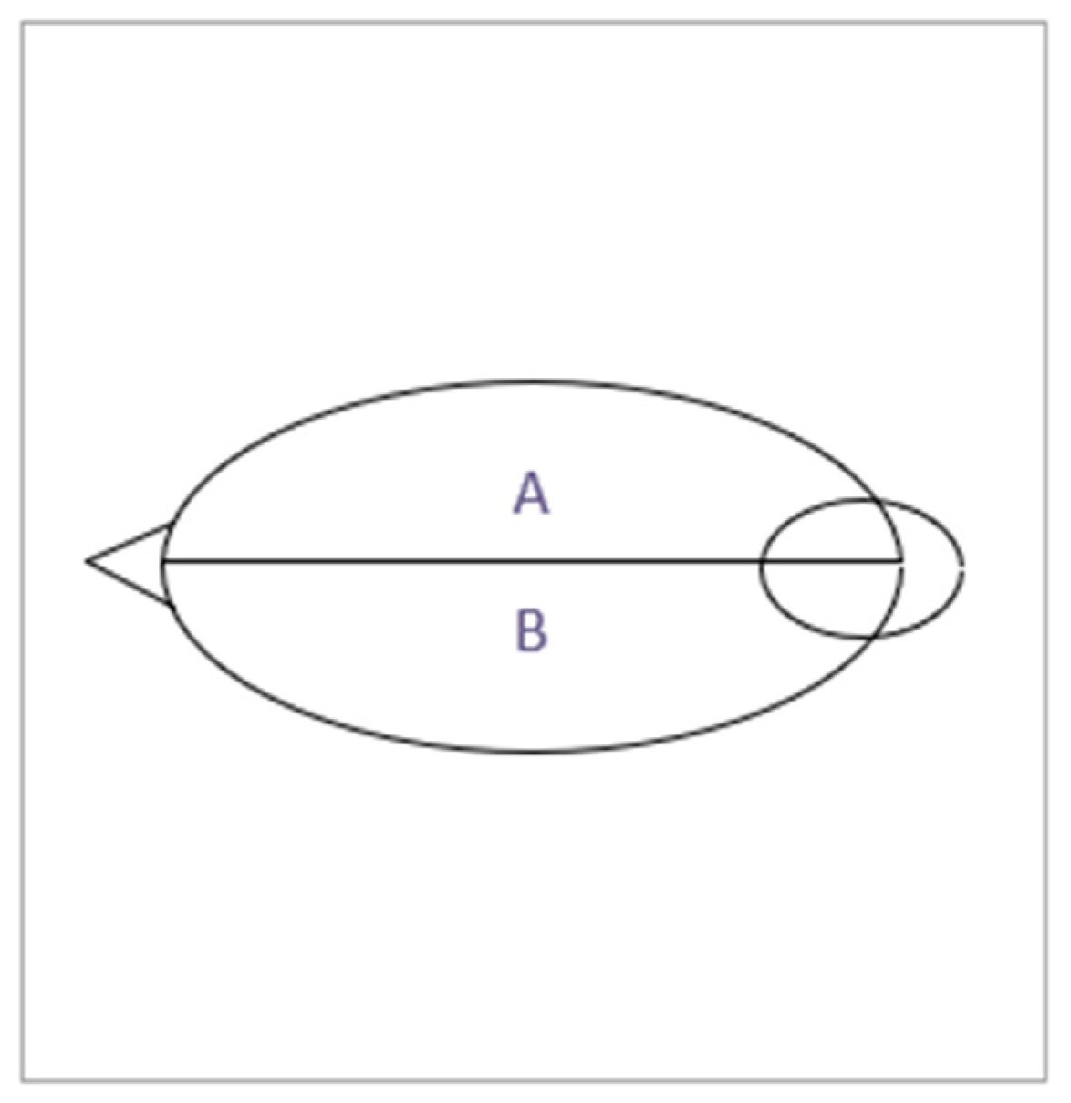 Agriculture 13 01718 g001