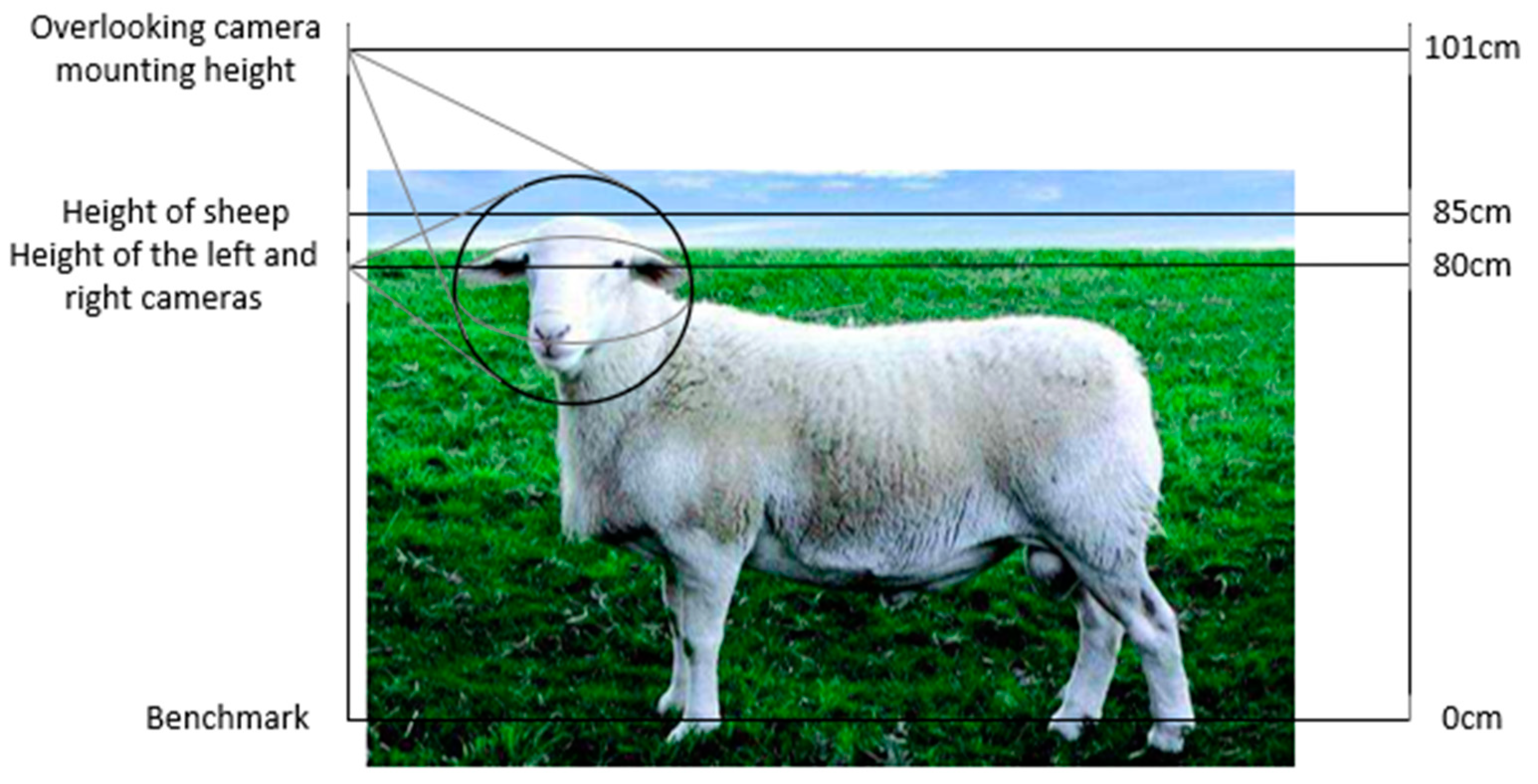 Agriculture 13 01718 g002