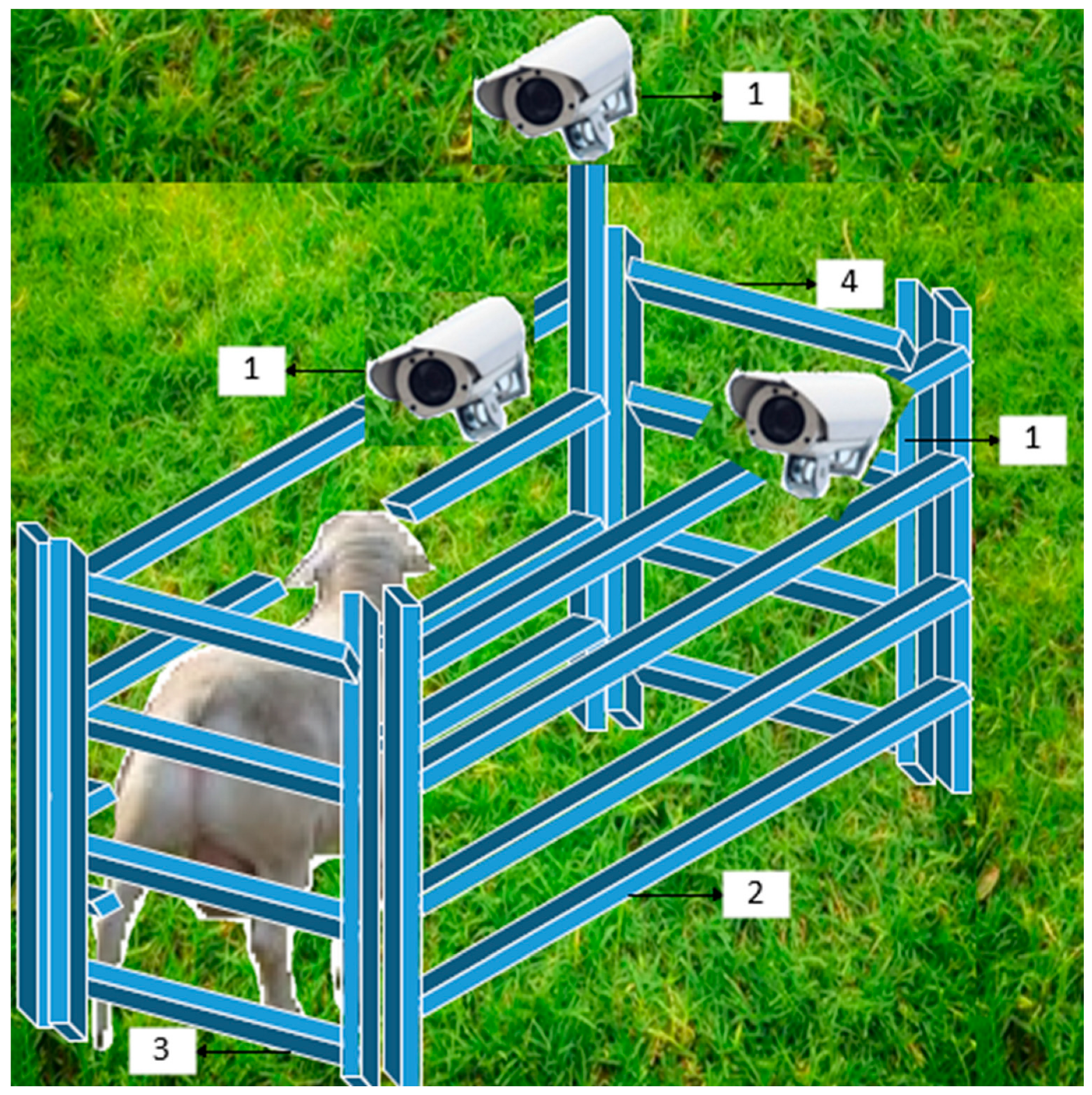 Agriculture 13 01718 g003