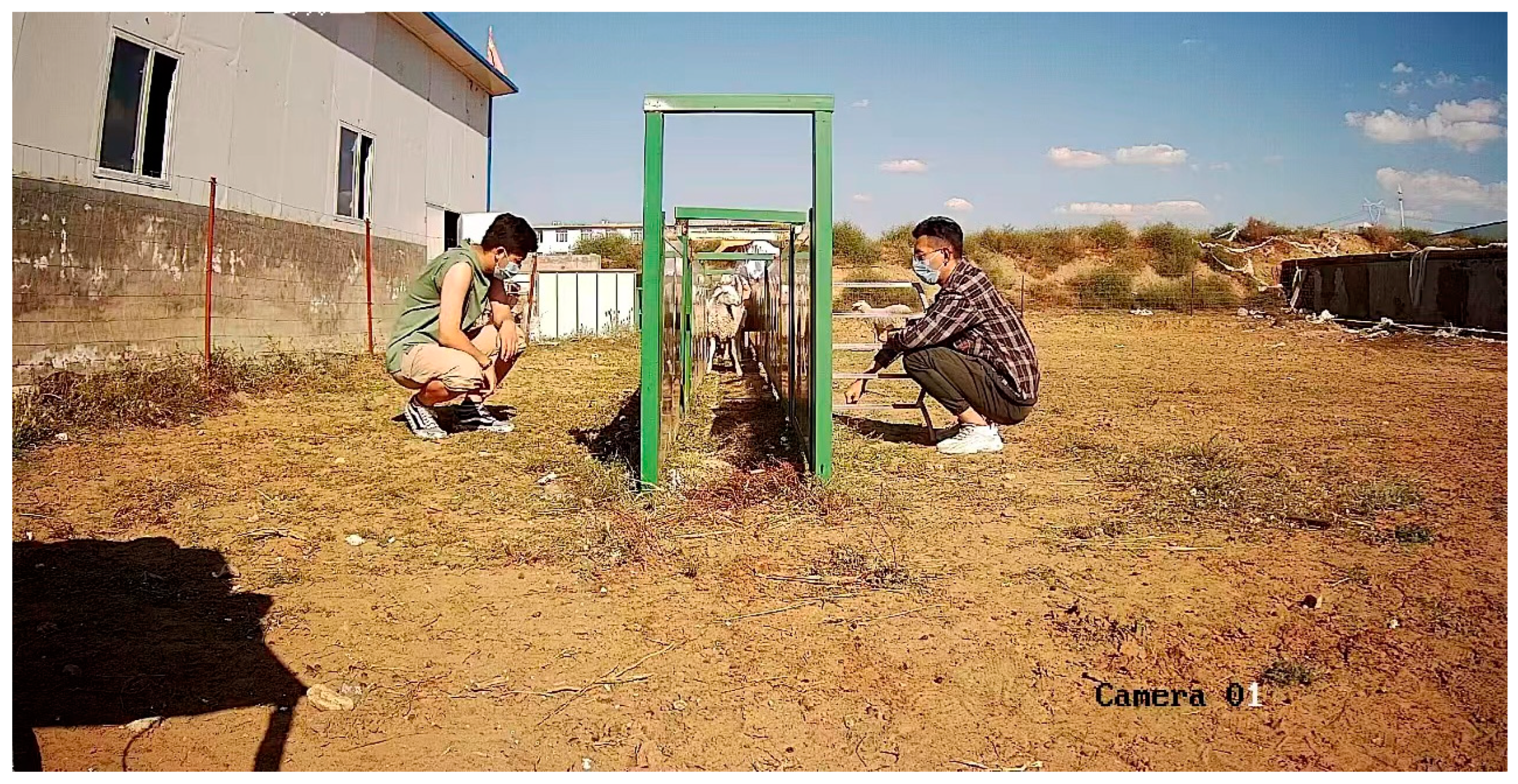 Agriculture 13 01718 g004