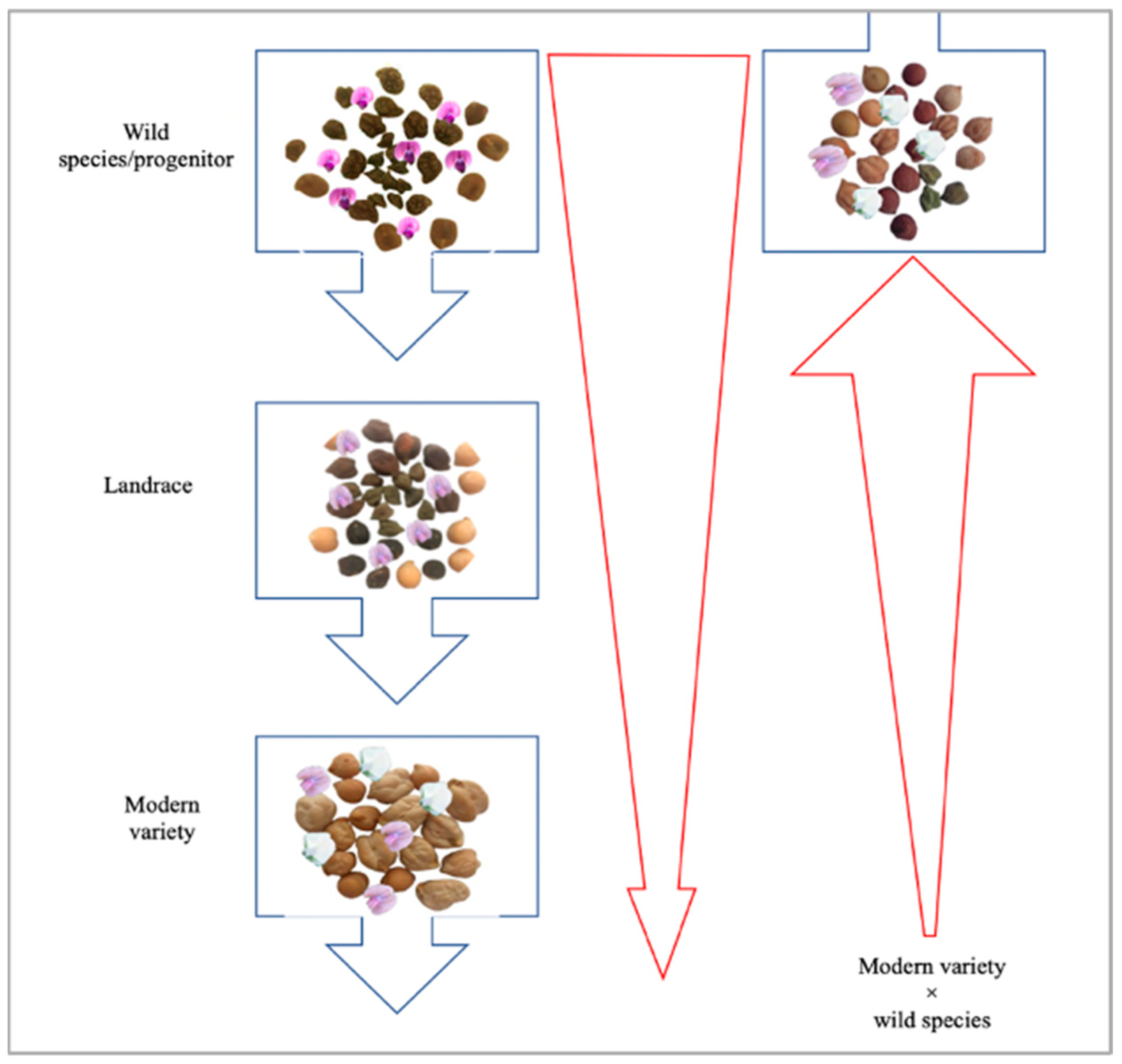 Agriculture 13 01721 g002