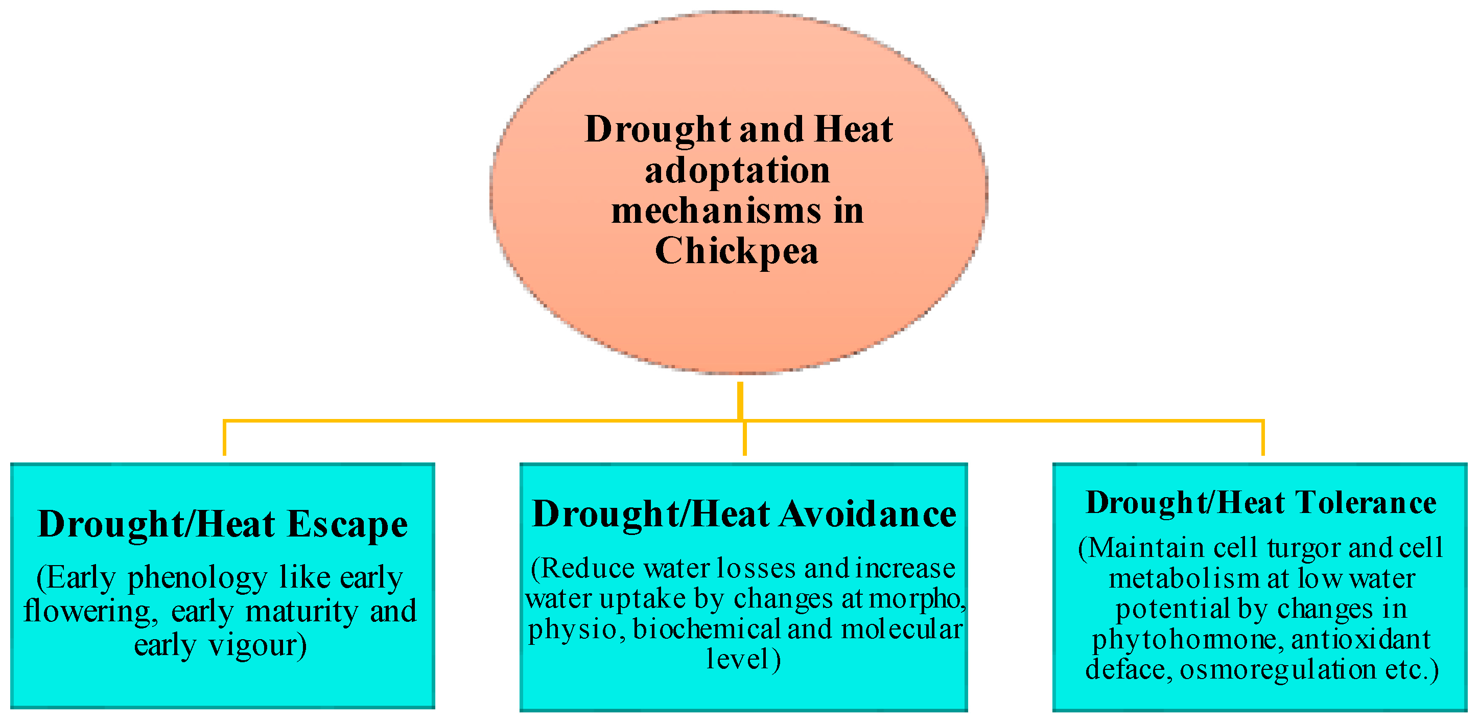Agriculture 13 01721 g004