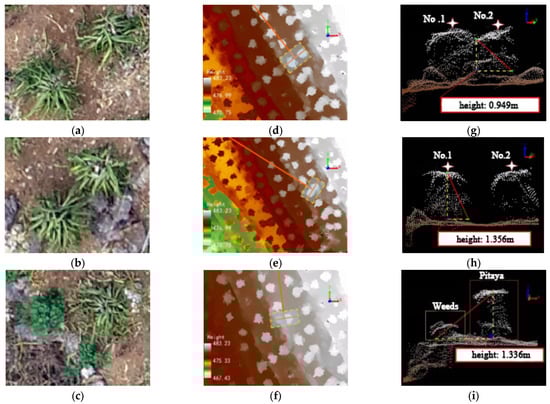 Agriculture 13 01742 g009