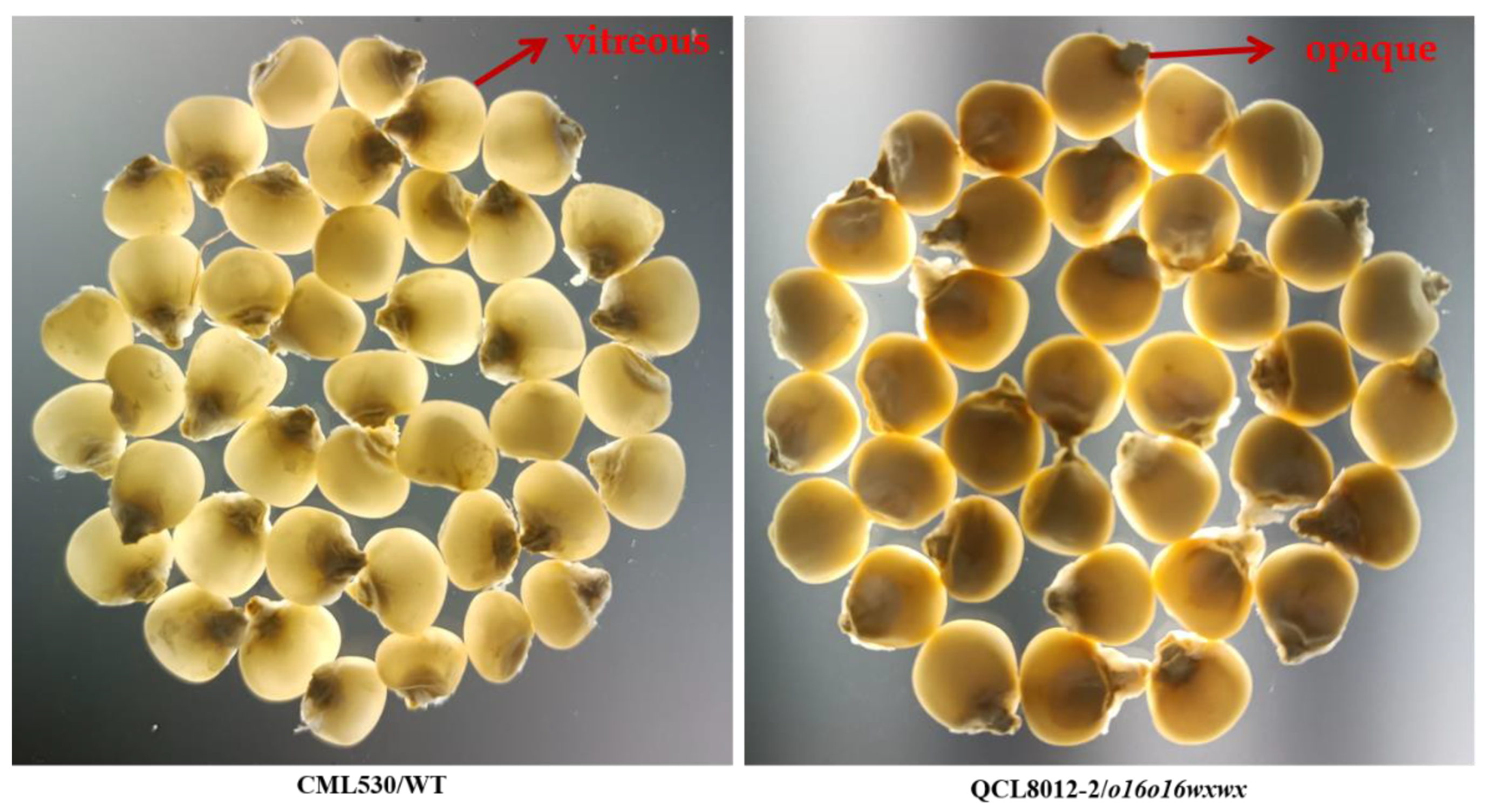 Agriculture 13 01791 g002 Agriculture 13 01791 g002