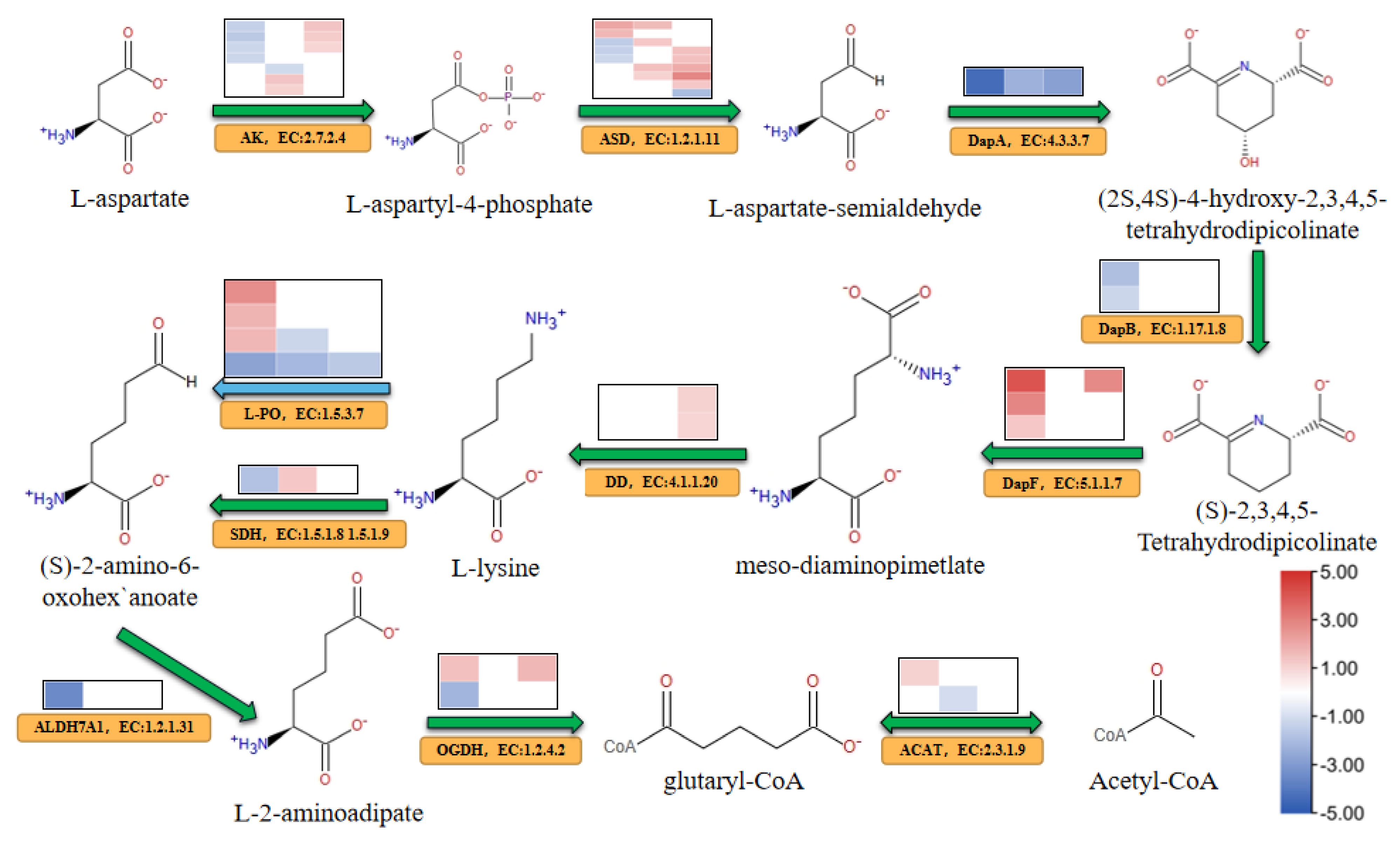 Agriculture 13 01791 g007 Agriculture 13 01791 g007
