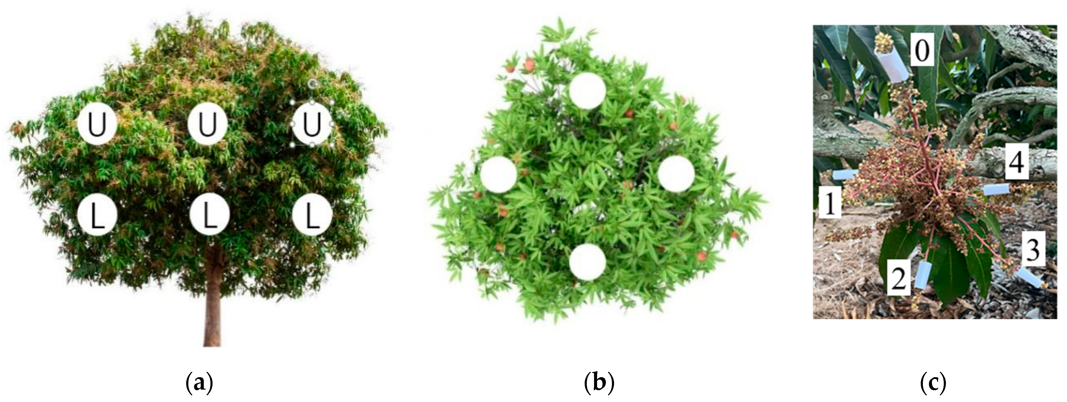 Agriculture 13 01805 g001