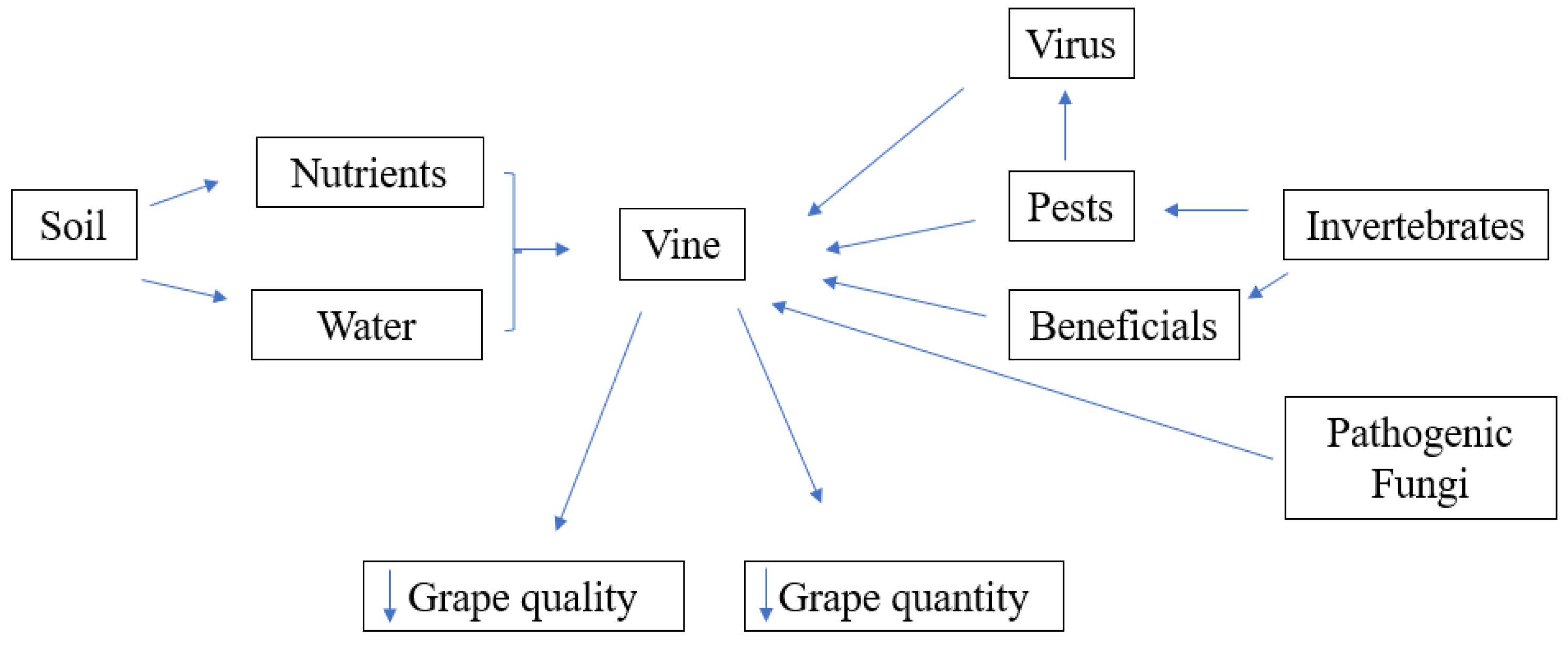 Agriculture 13 01809 g002