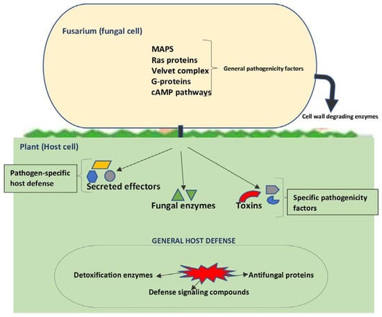 Agriculture 13 01810 g002