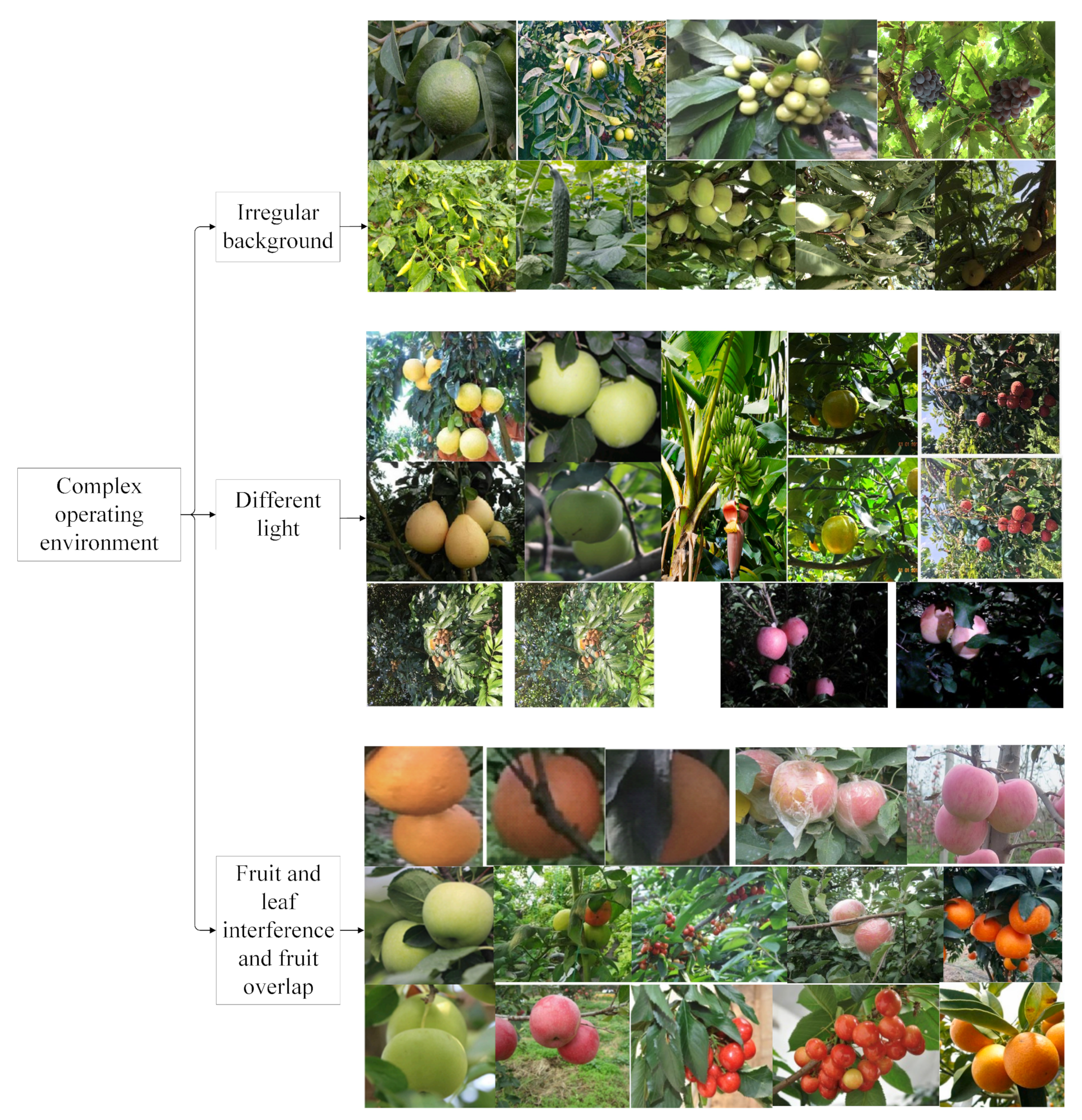 Agriculture 13 01814 g007