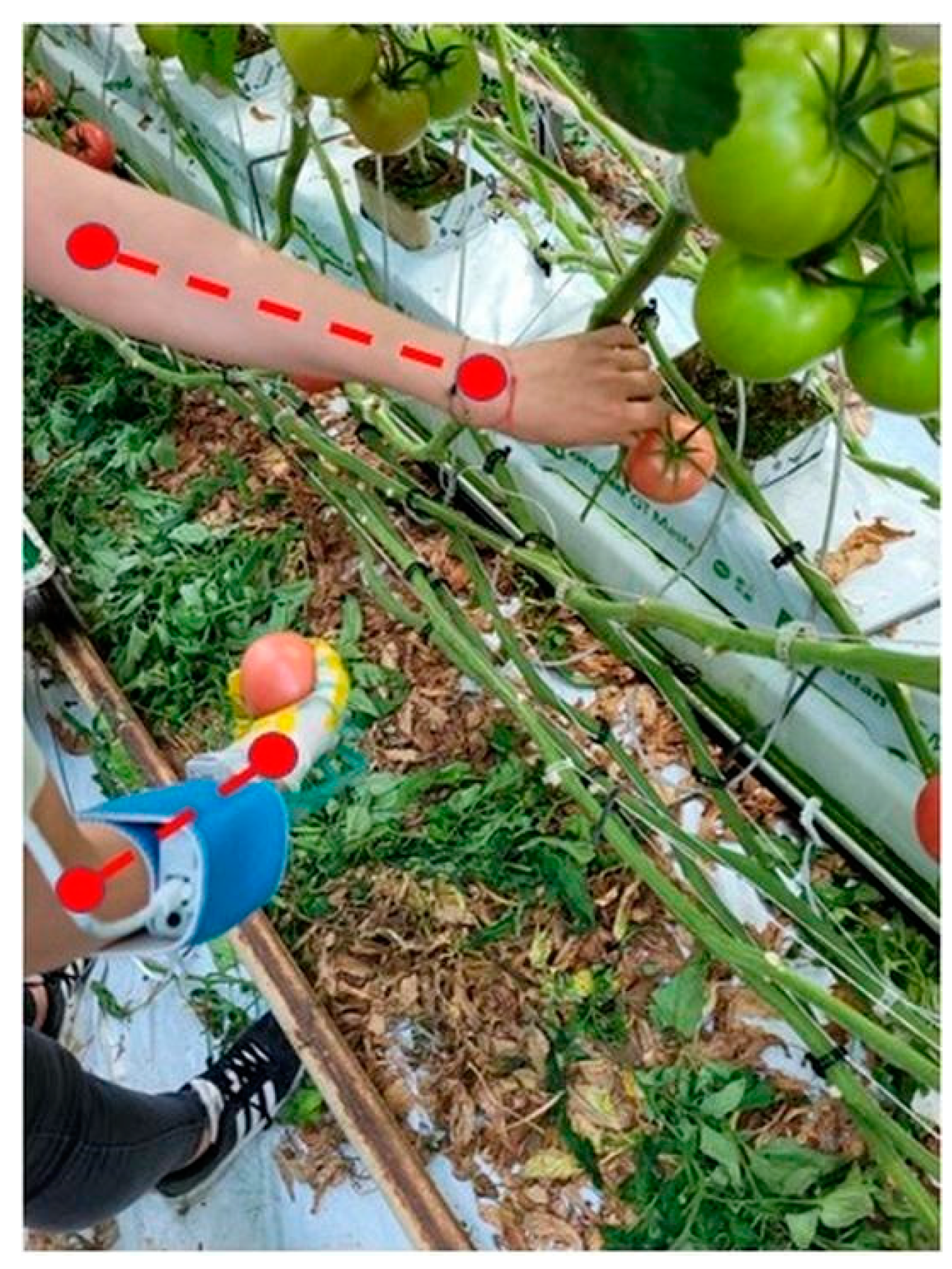 Agriculture 13 01831 g010