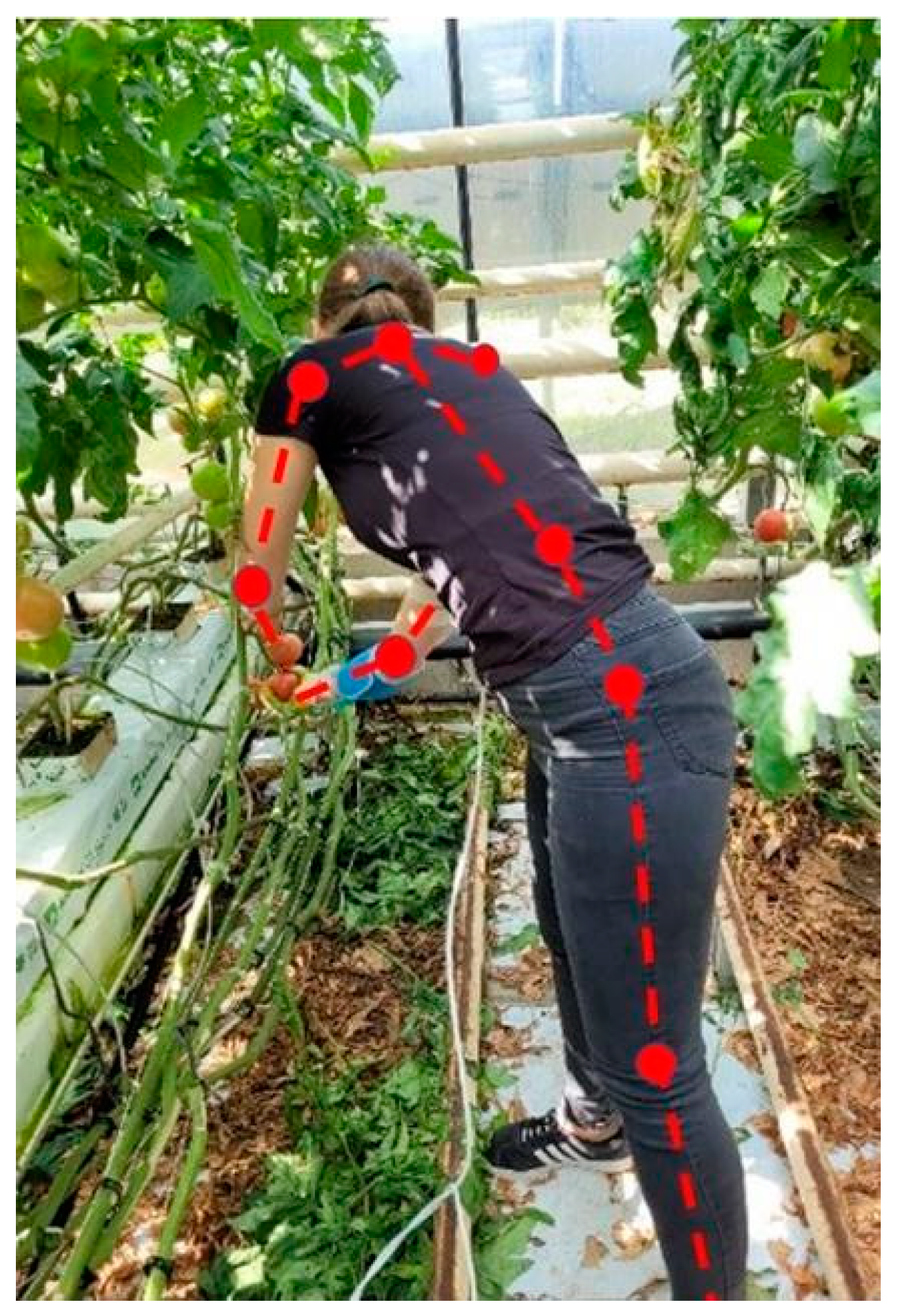 Agriculture 13 01831 g013