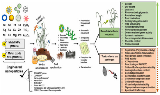 Agriculture 13 01856 g005