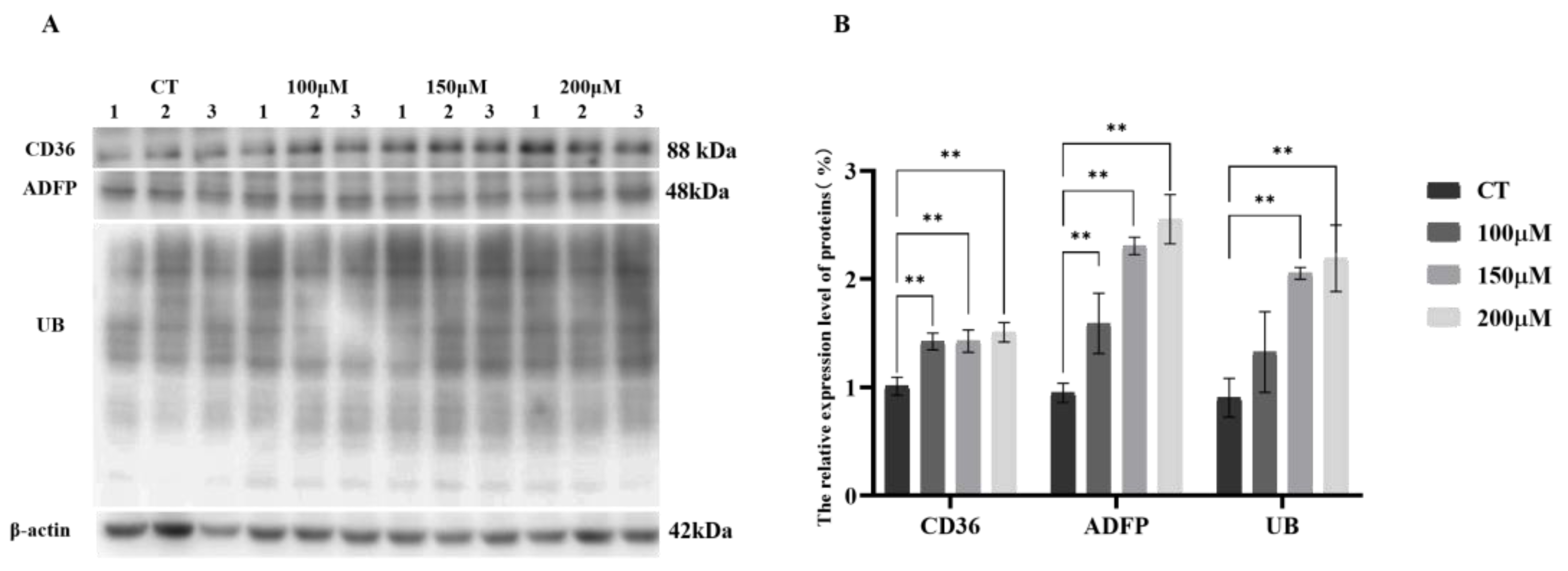 Agriculture 13 01870 g001
