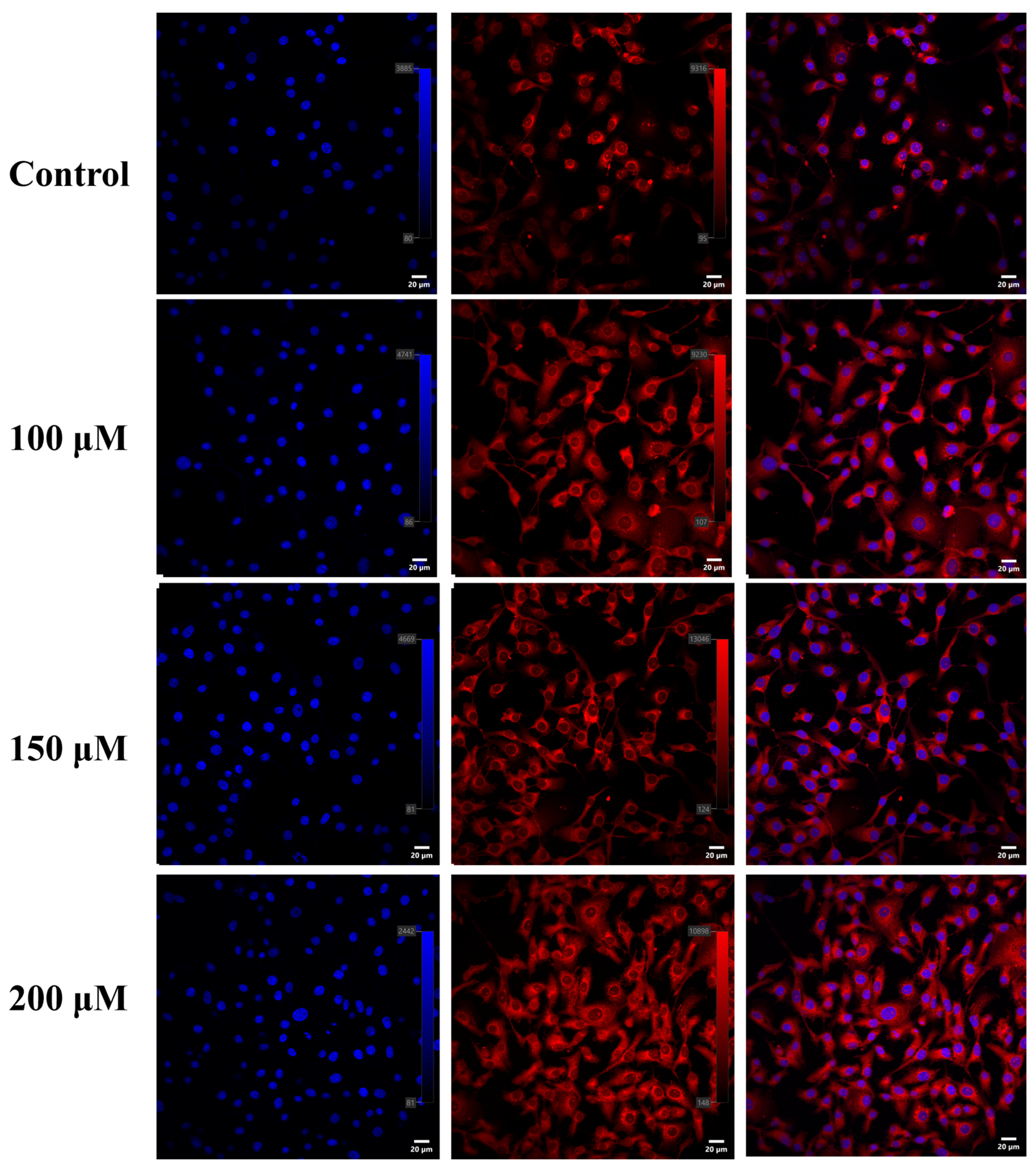 Agriculture 13 01870 g003