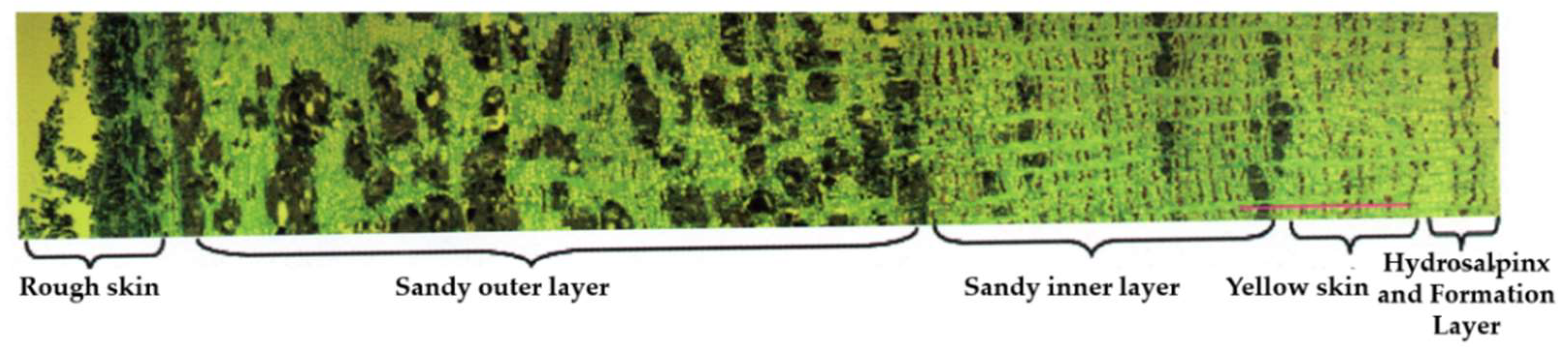 Agriculture 13 01894 g001