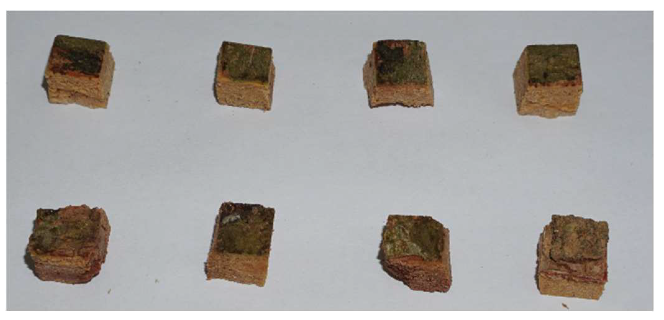 Agriculture 13 01894 g004