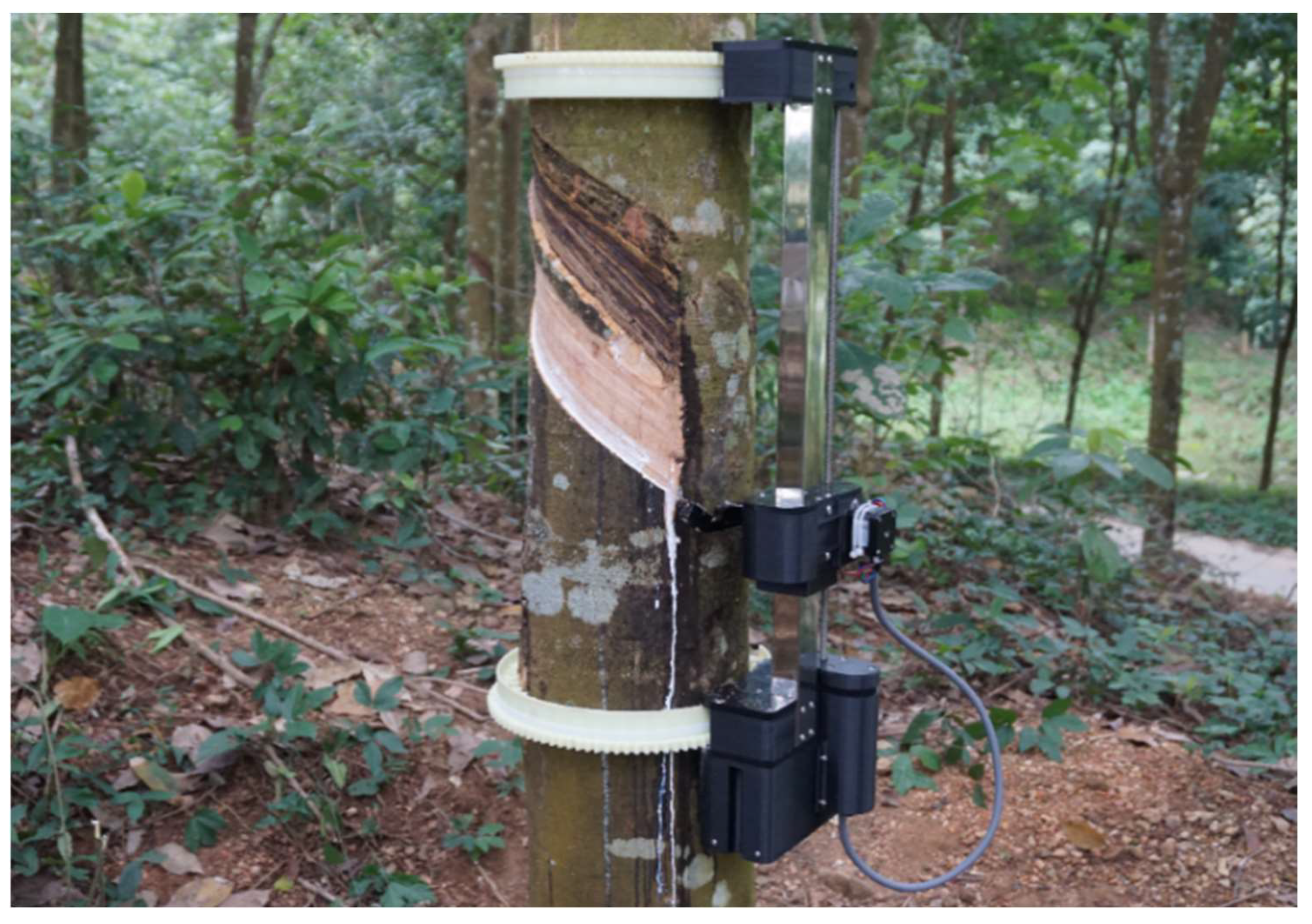 Agriculture 13 01894 g021