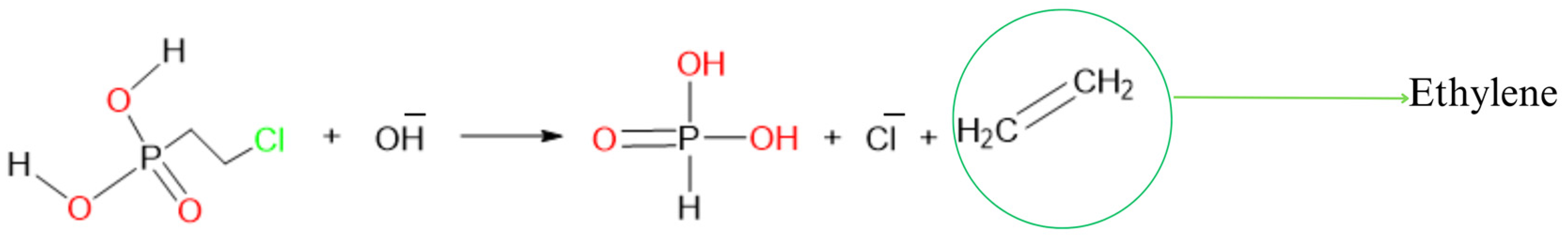 Agriculture 13 01898 g001
