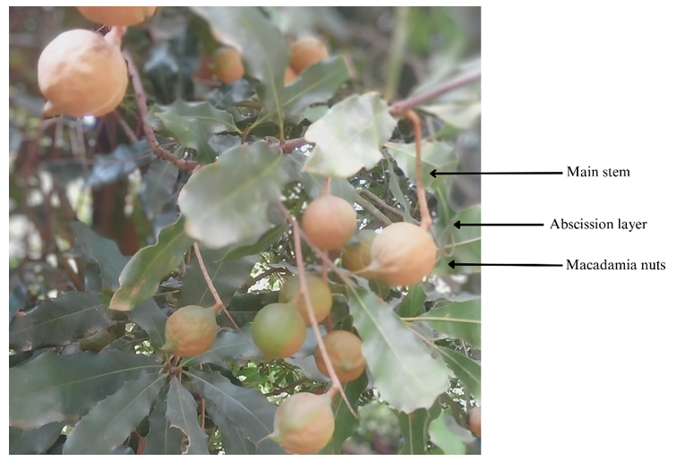 Agriculture 13 01898 g002