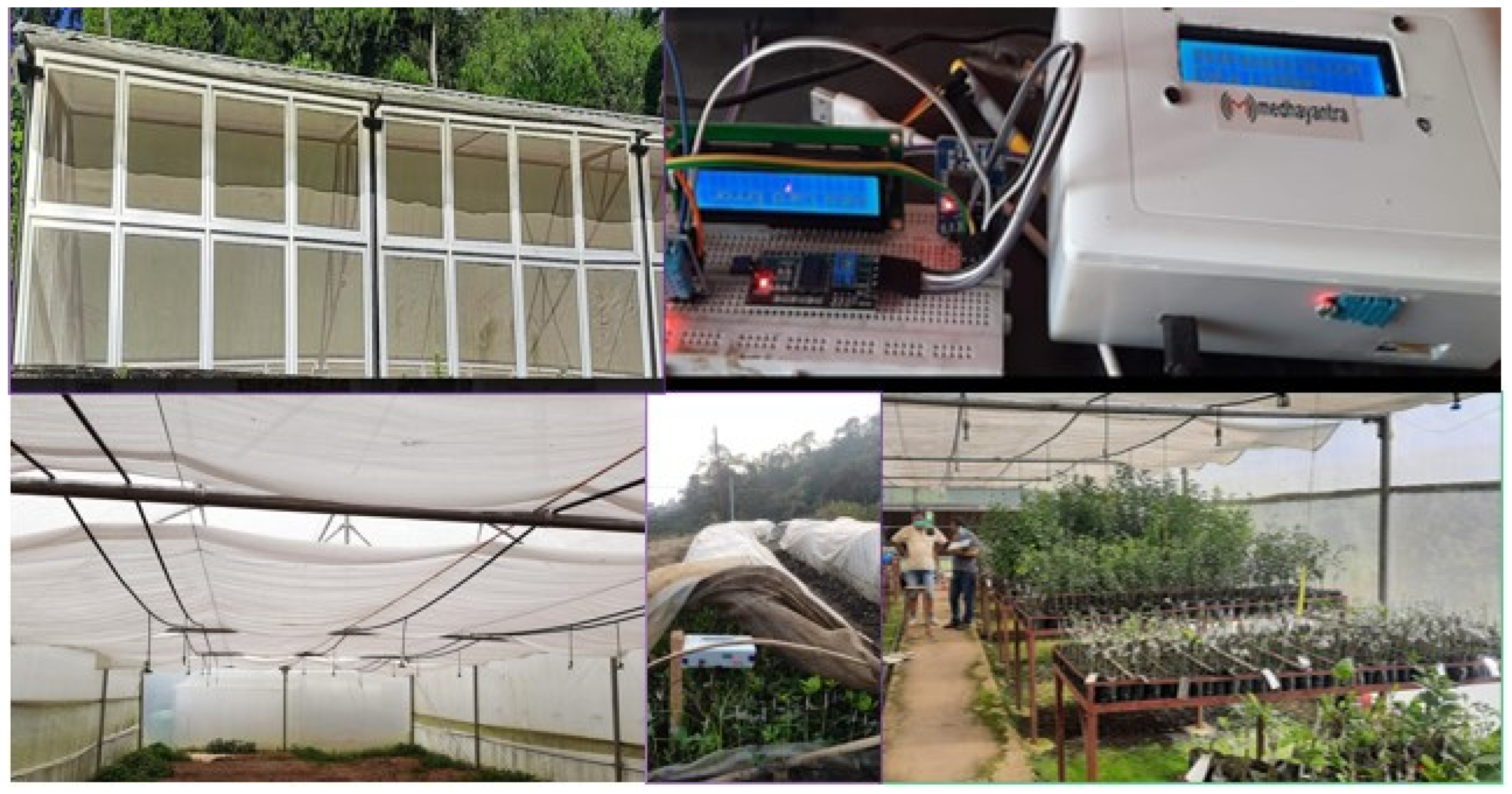 Agriculture 13 01900 g008