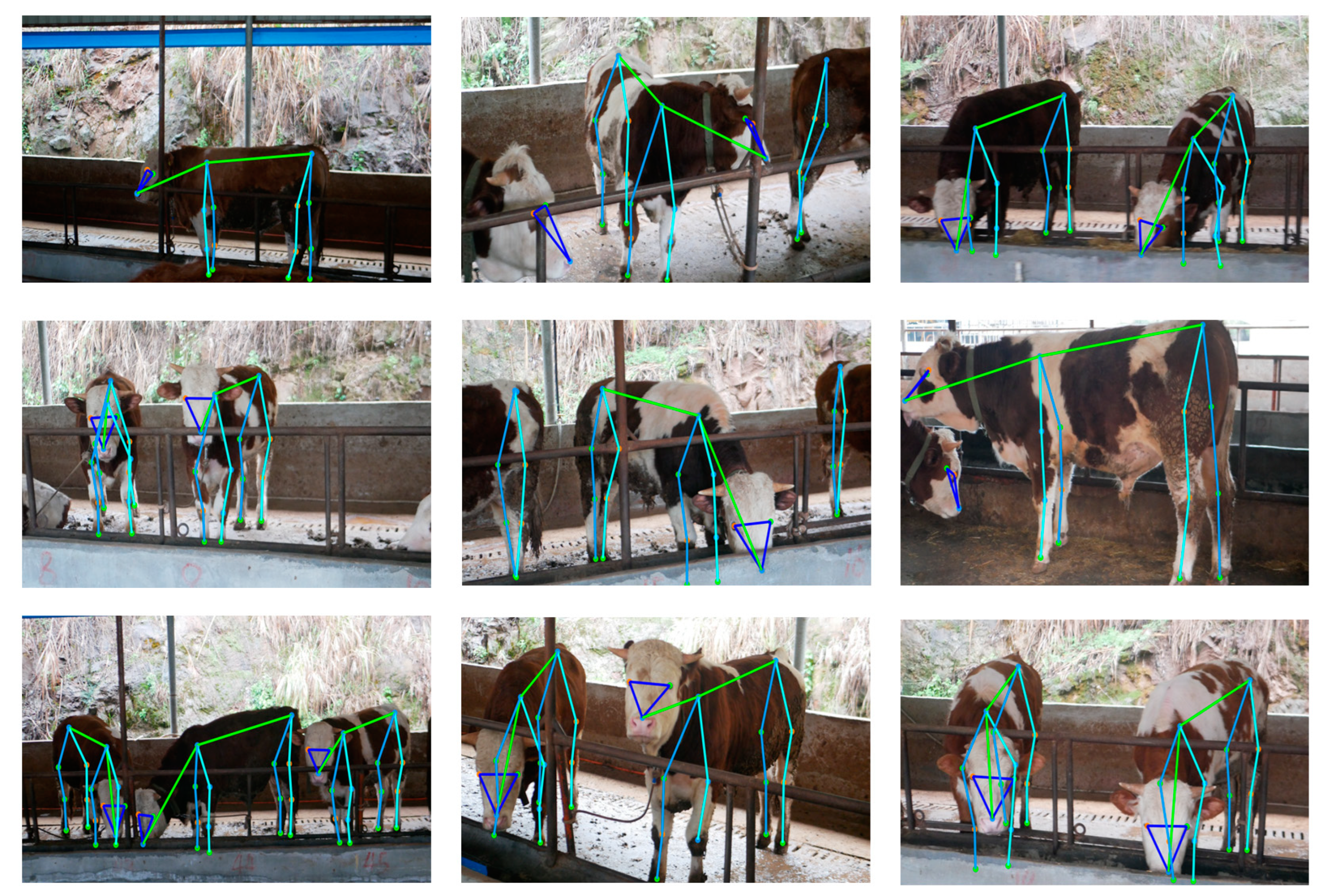 Agriculture 13 01938 g010