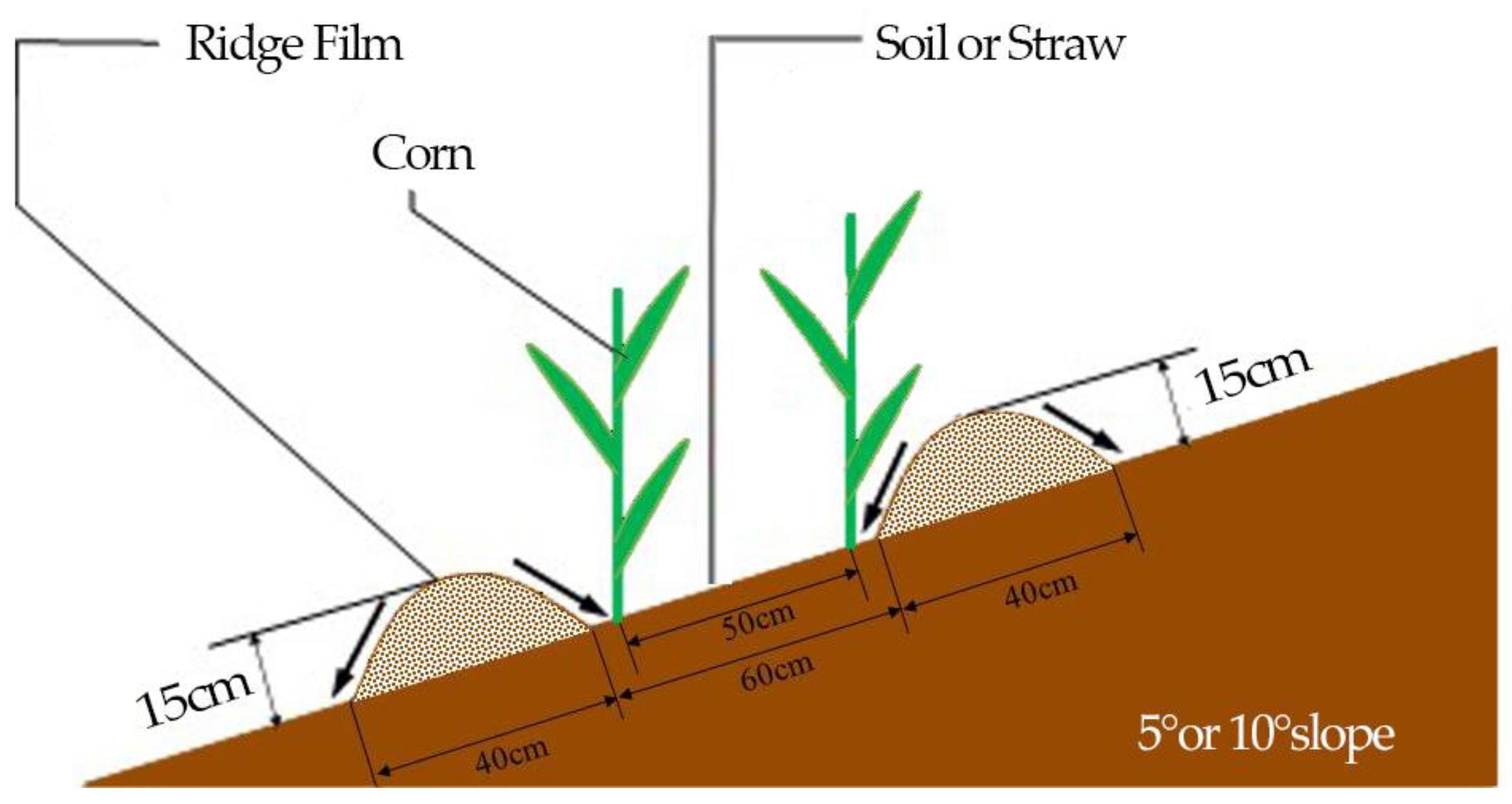 Agriculture 13 01940 g001