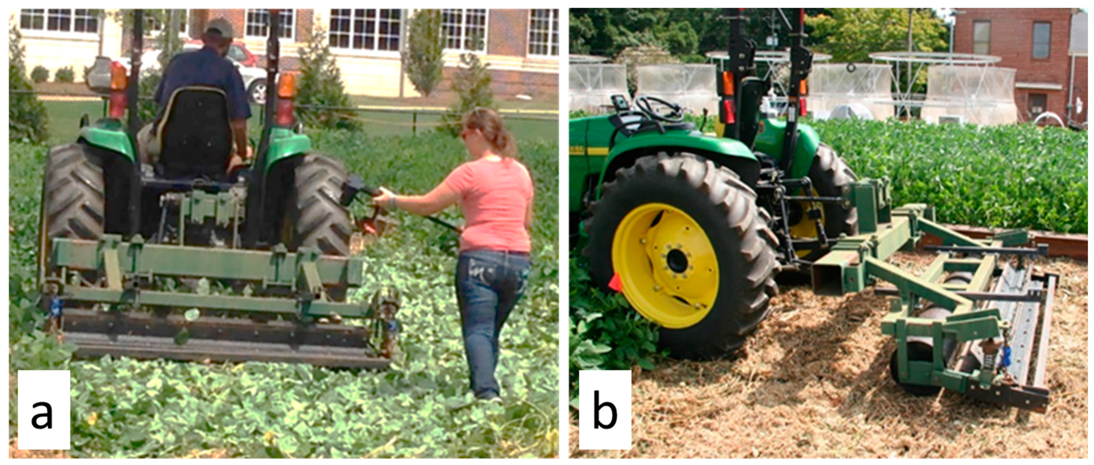 Agriculture 13 01949 g001