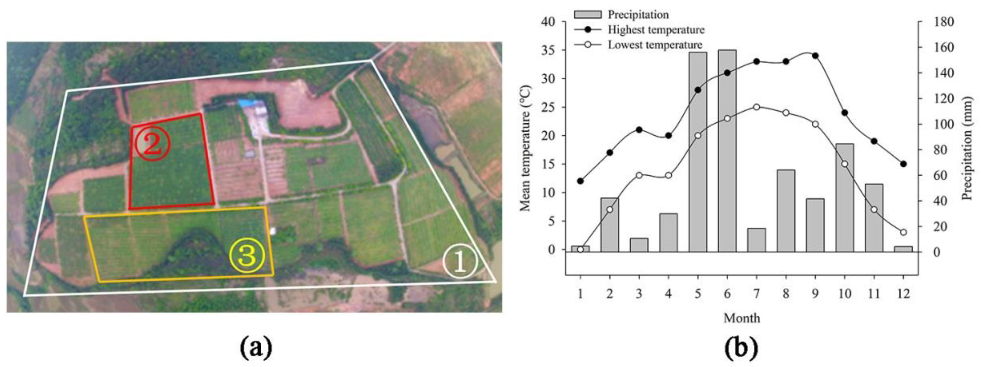 Agriculture 13 01968 g001