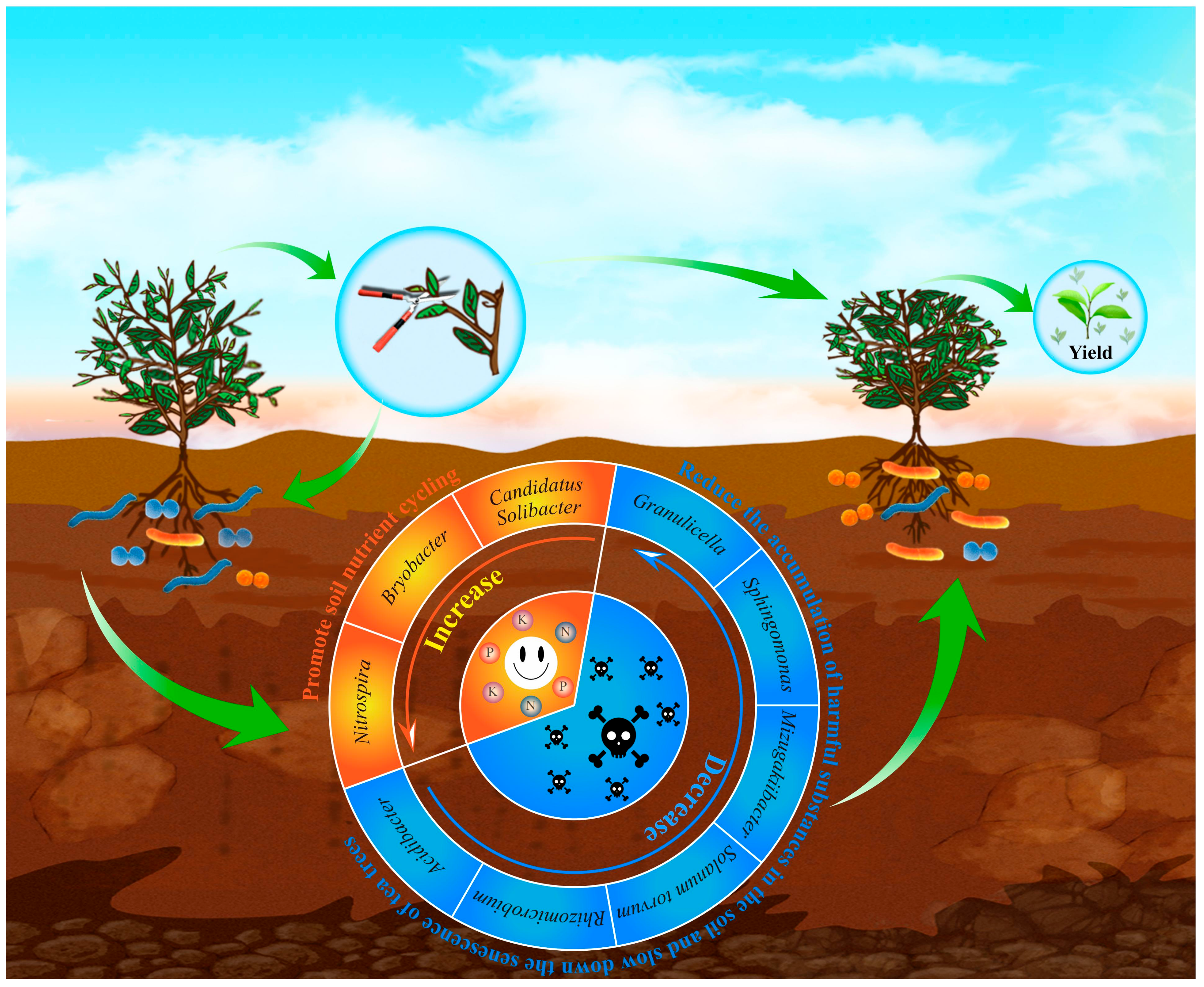 Agriculture 13 01972 g004