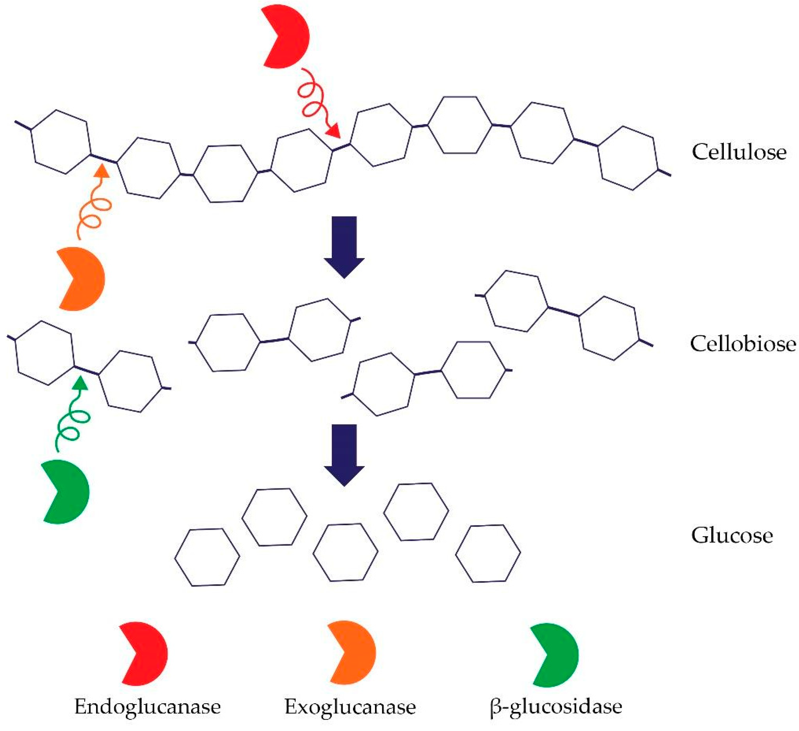 Agriculture 13 01979 g002
