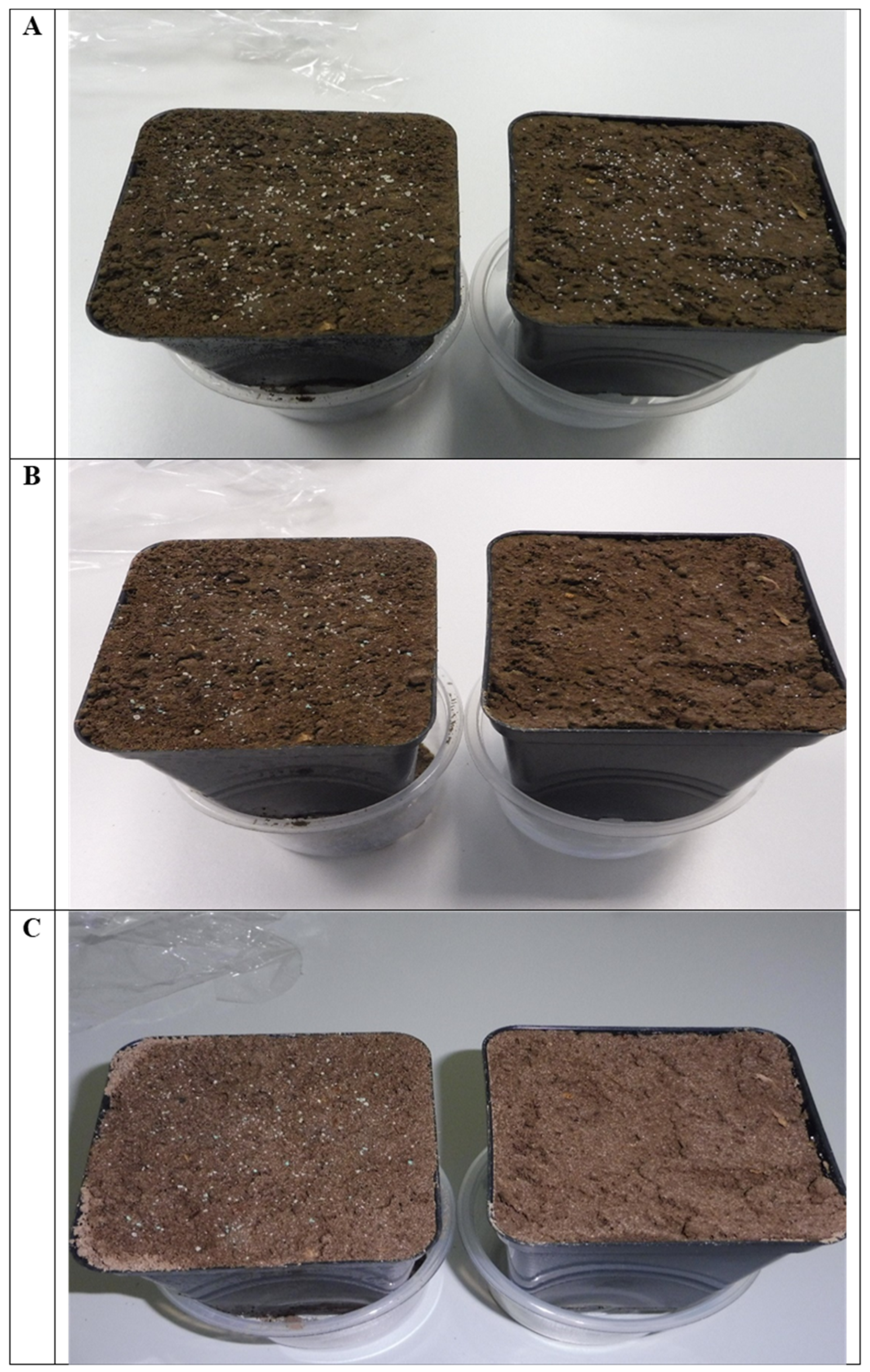 Agriculture 13 01981 g003