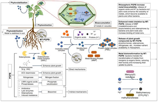 Agriculture 13 01983 g009