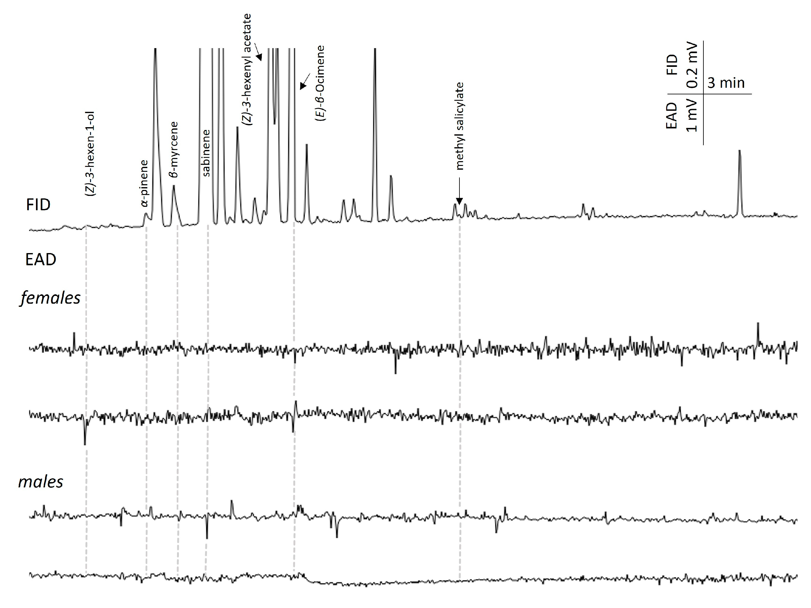 Agriculture 13 01991 g009