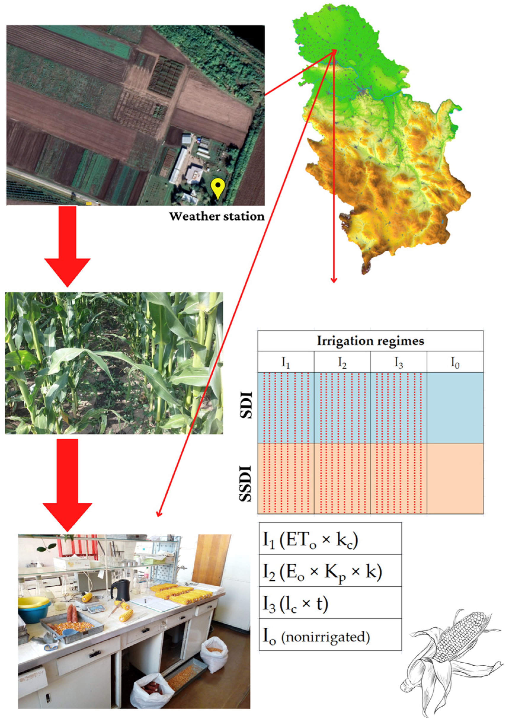 Agriculture 13 01994 g001