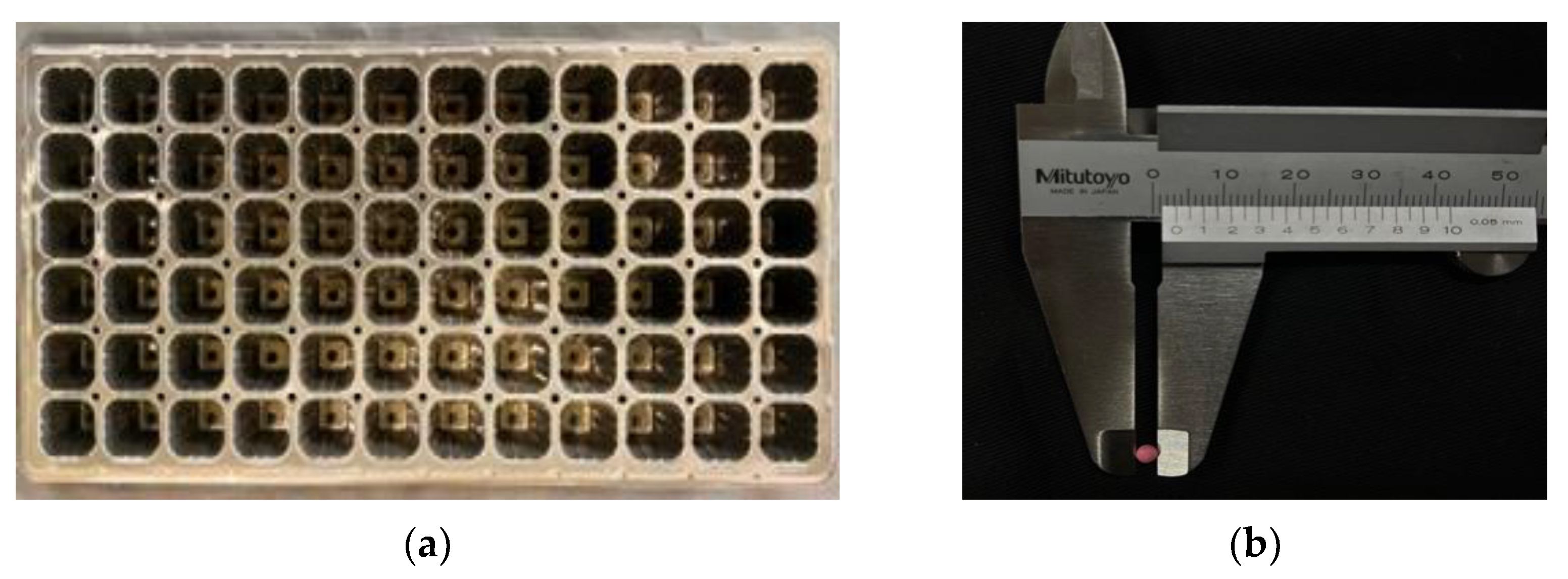 Agriculture 13 02000 g002