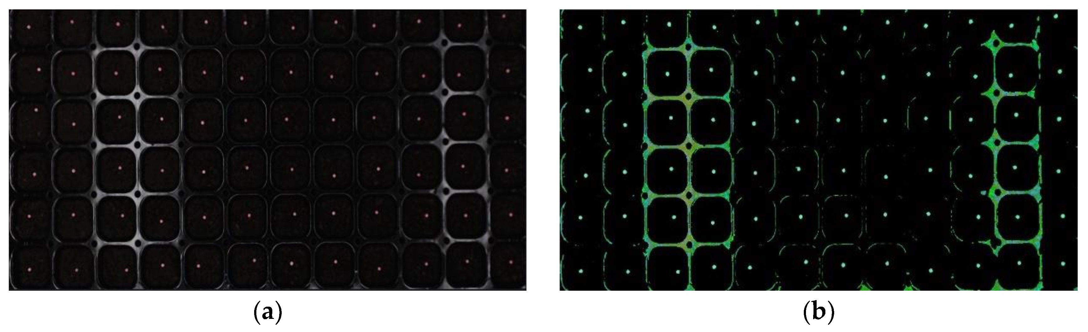 Agriculture 13 02000 g009
