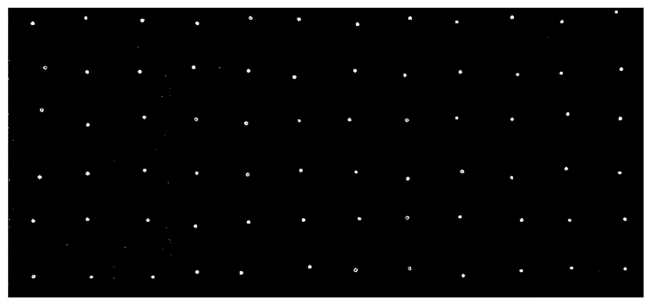 Agriculture 13 02000 g010