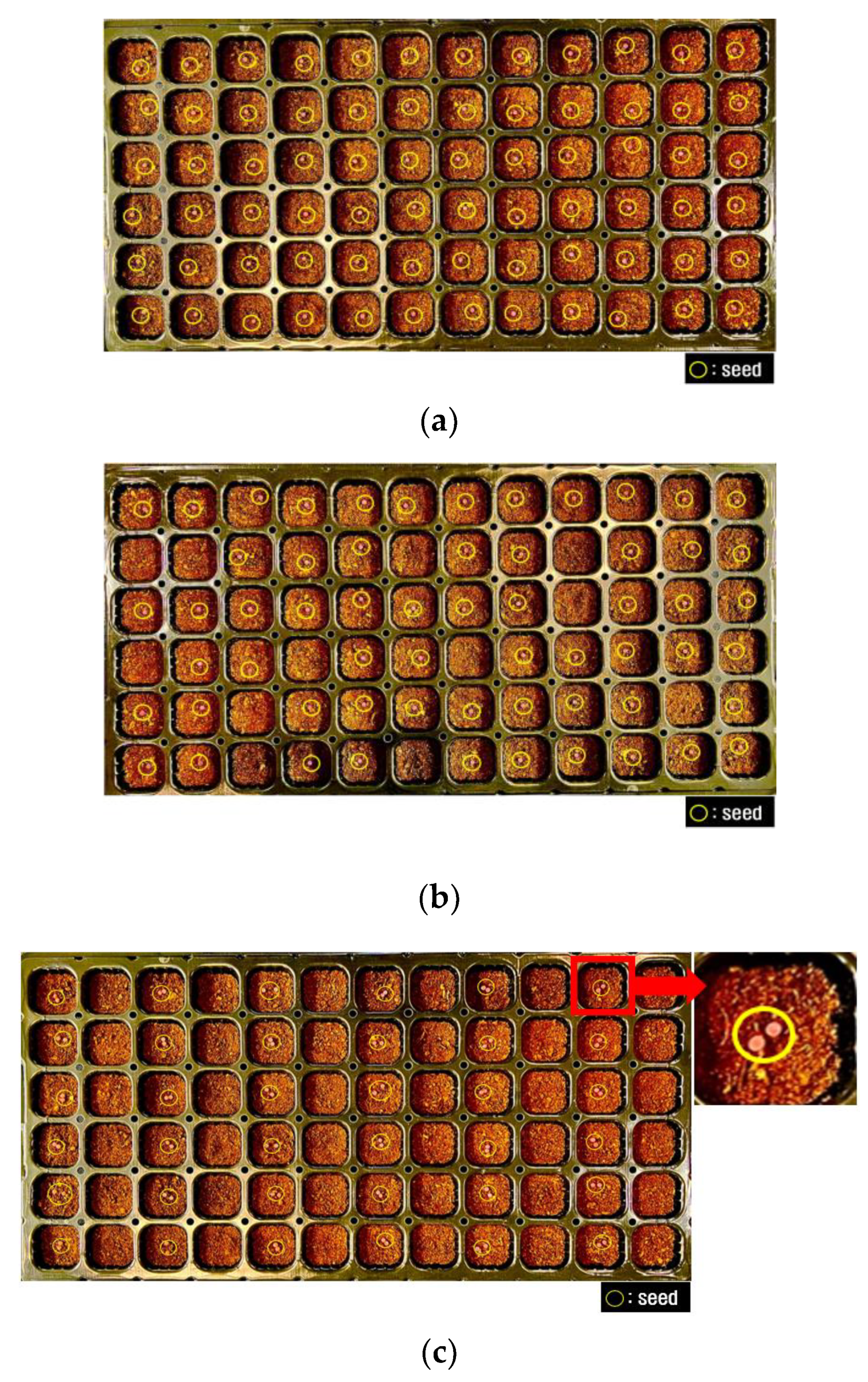 Agriculture 13 02000 g016