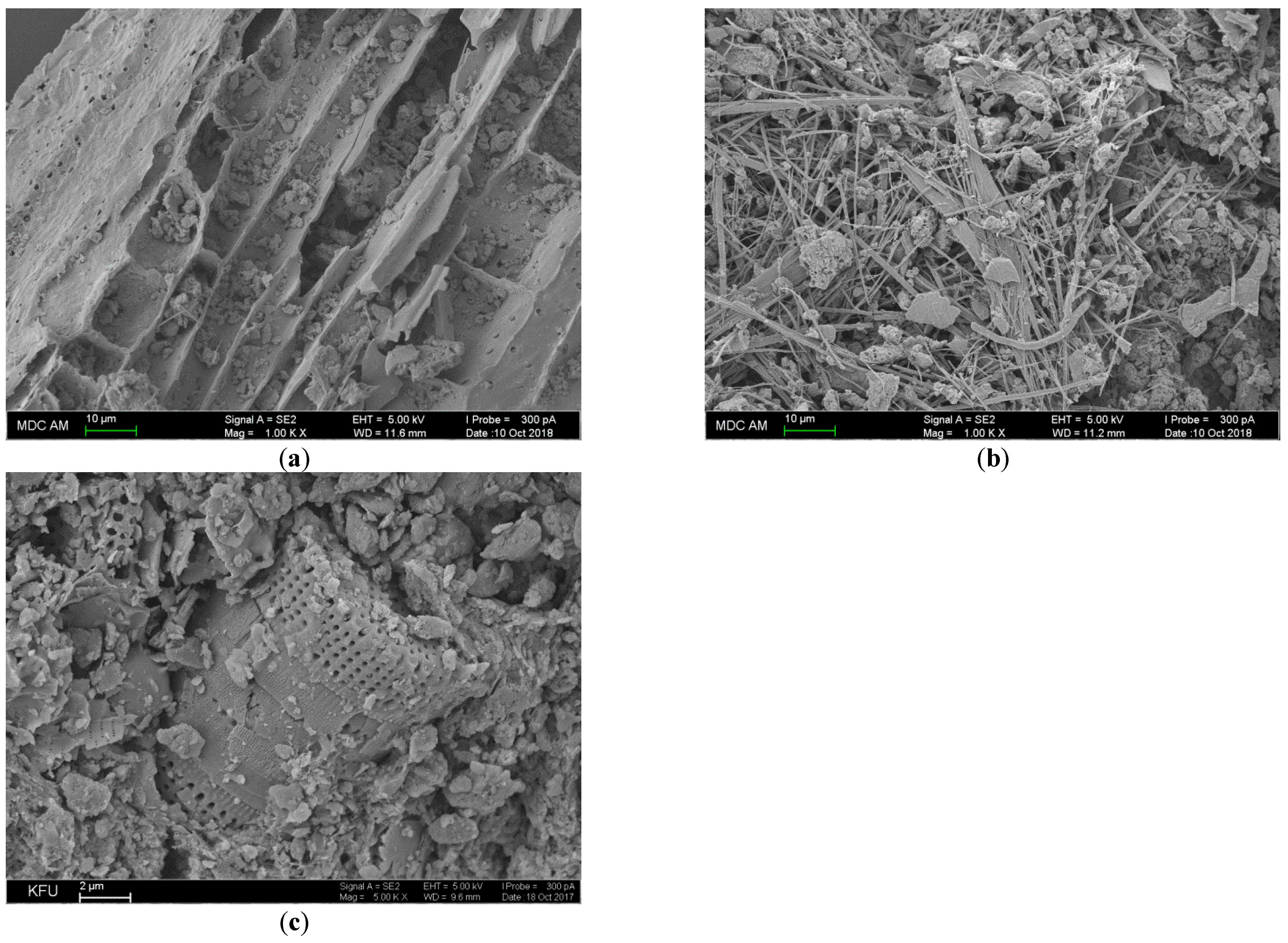 Agriculture 13 02003 g003