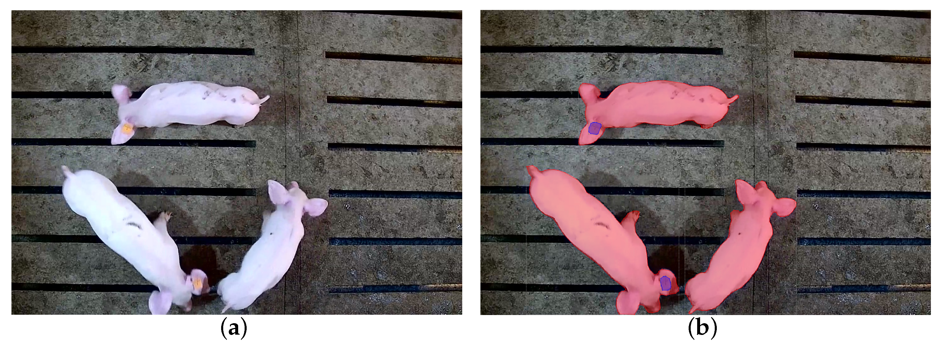 Agriculture 13 02011 g002