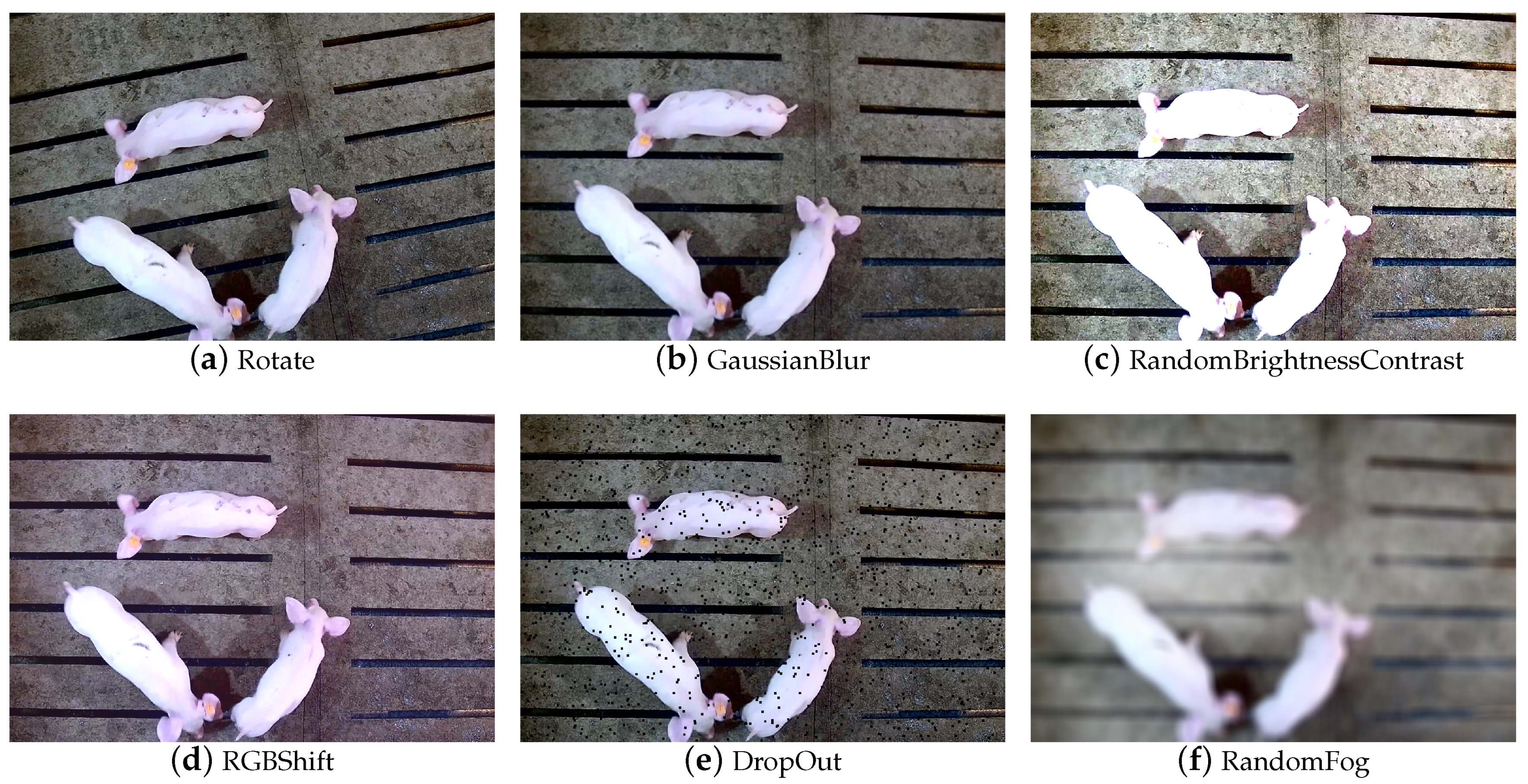 Agriculture 13 02011 g003