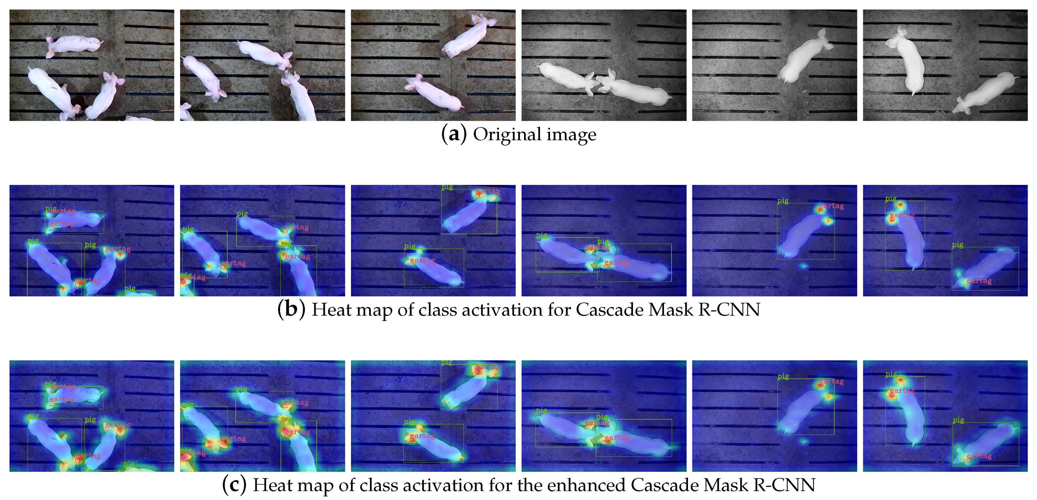 Agriculture 13 02011 g006