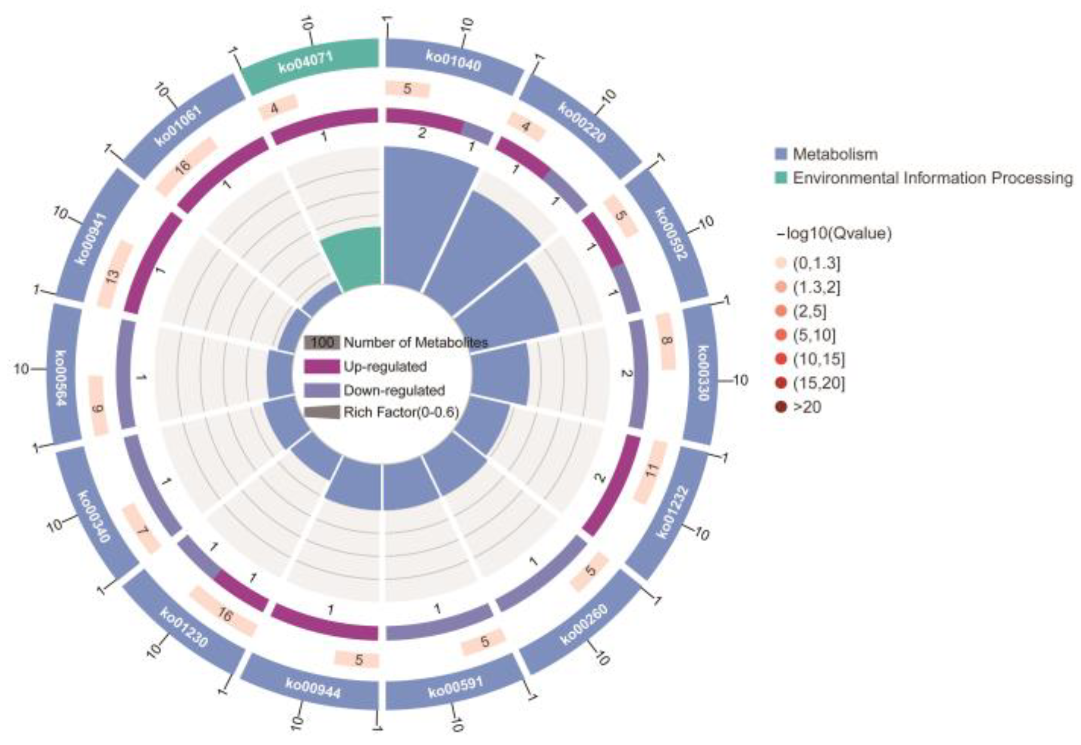 Agriculture 13 02014 g006