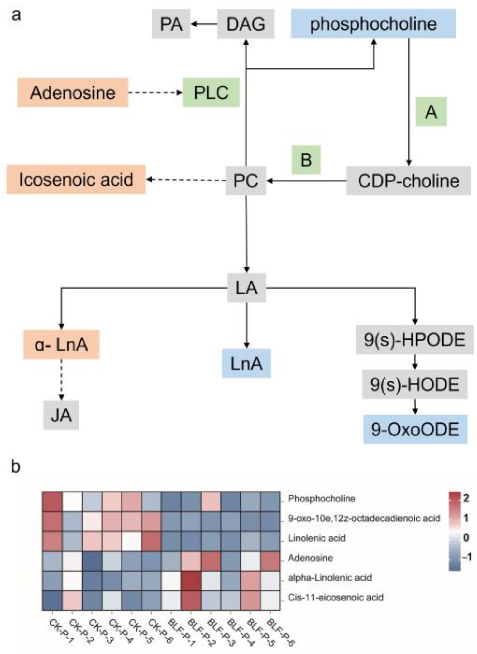 Agriculture 13 02014 g007