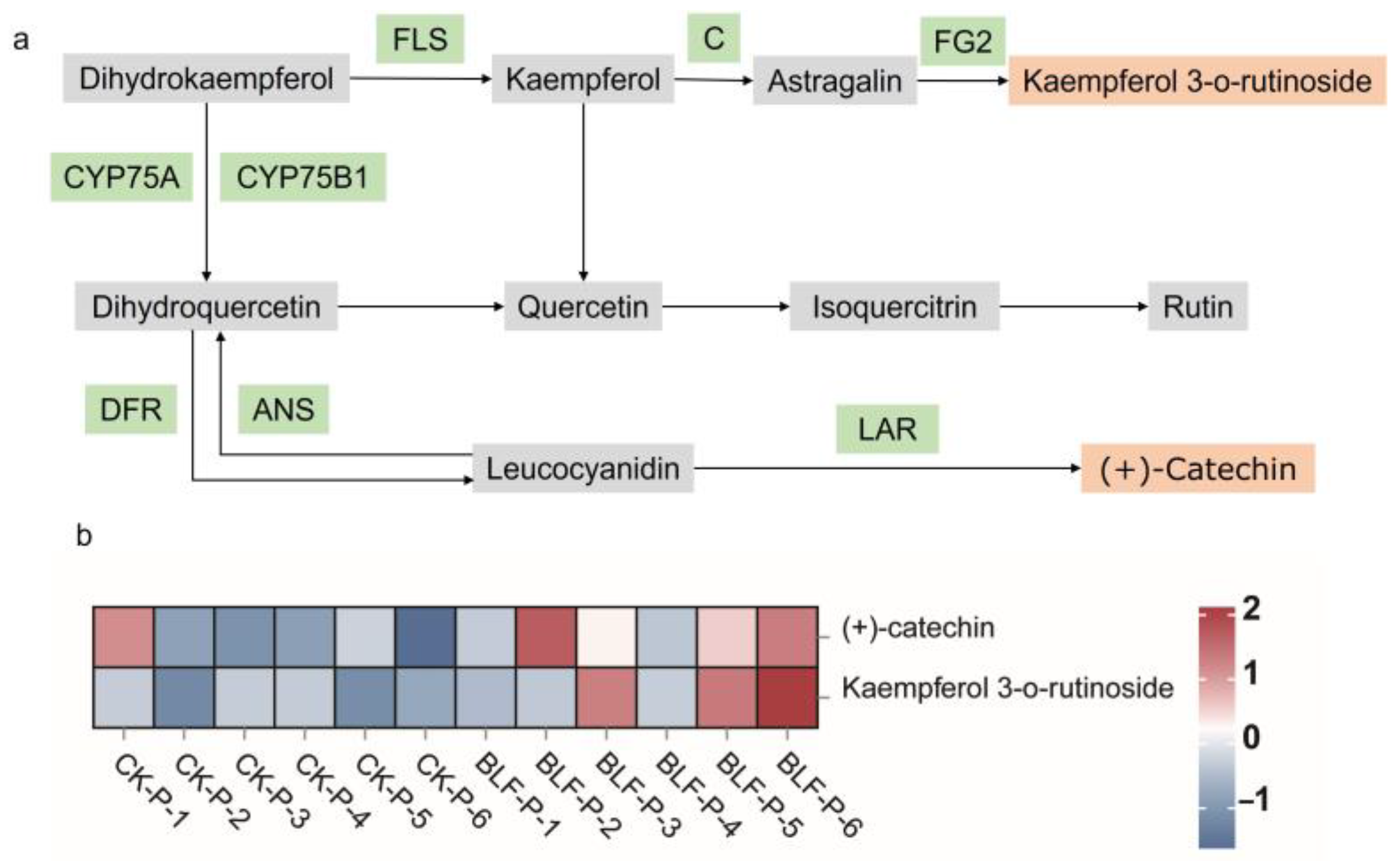 Agriculture 13 02014 g008