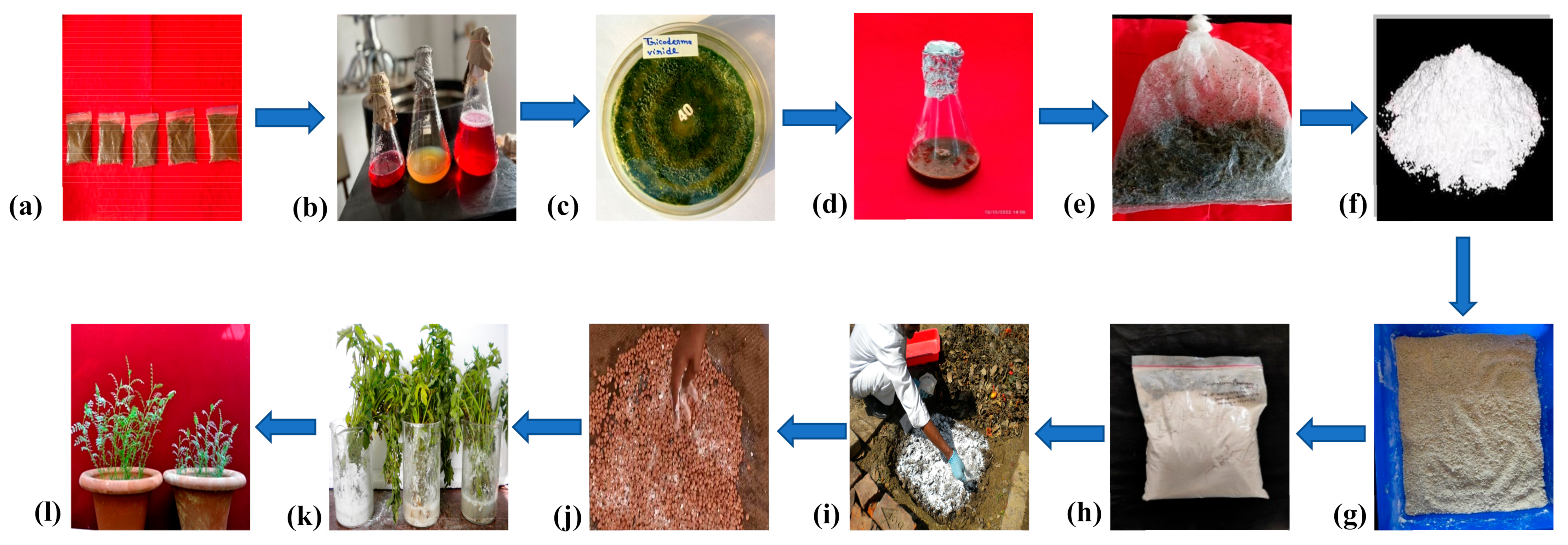 Agriculture 13 02022 g001