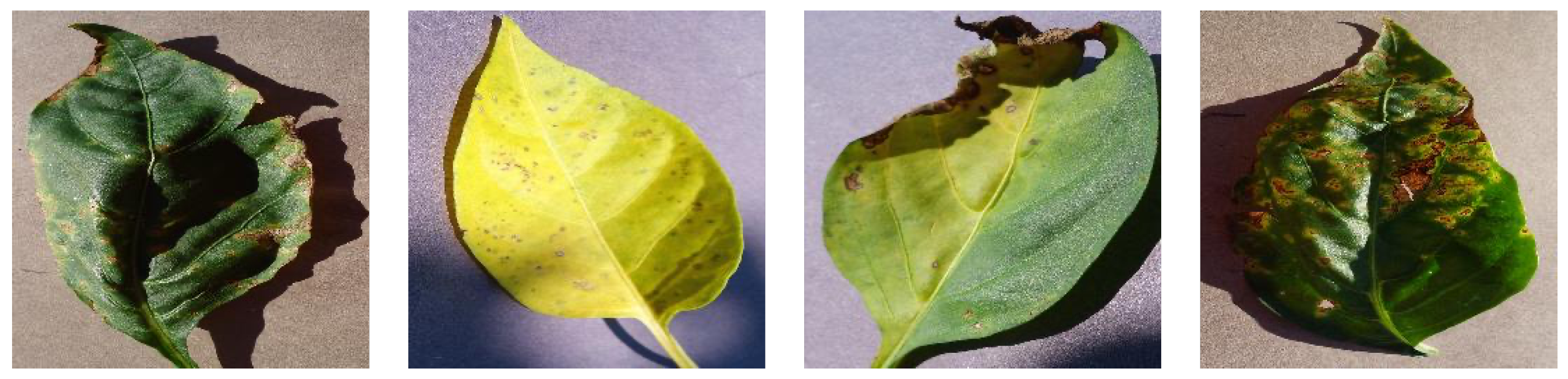 Agriculture 13 02025 g002